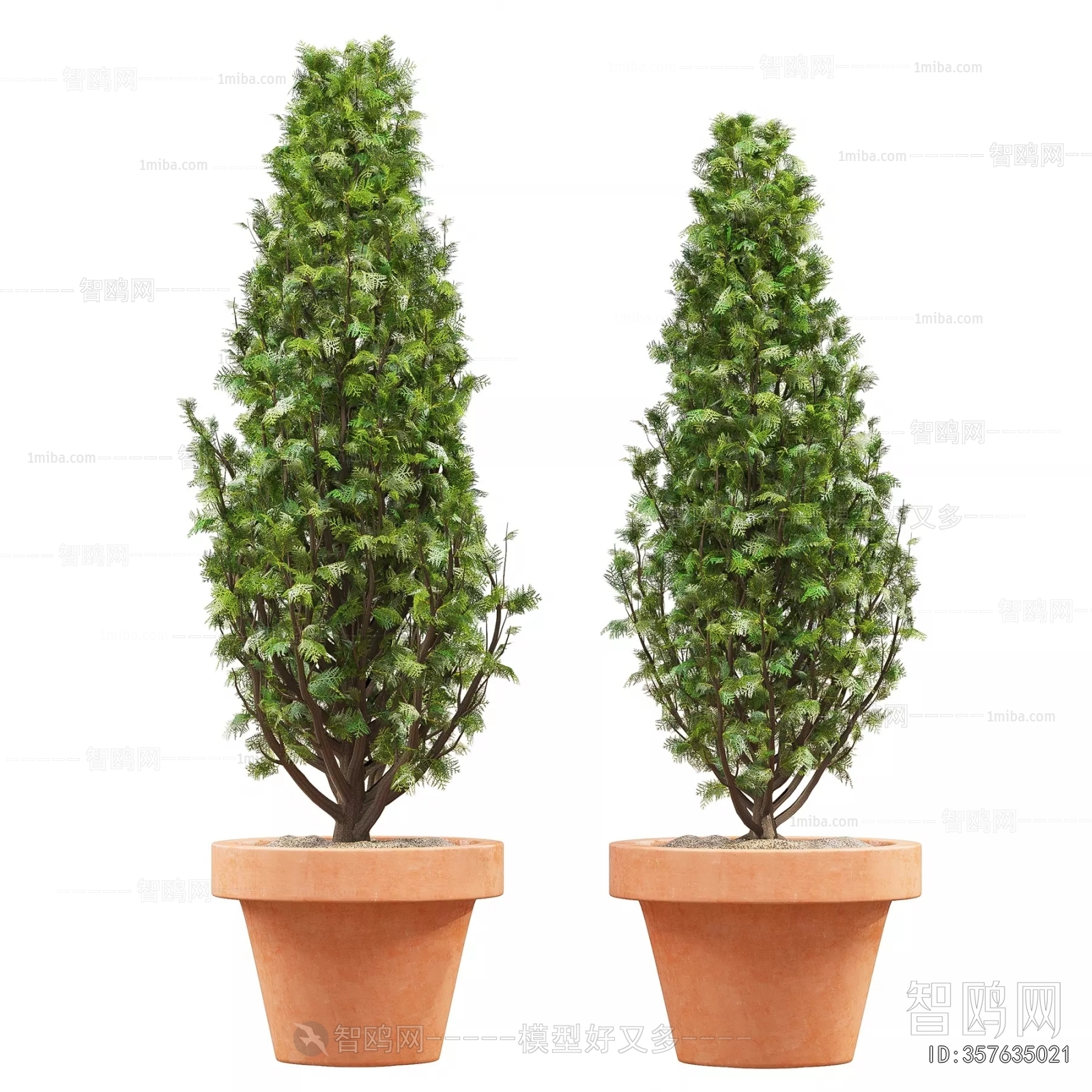 Modern Ground Green Plant Potted Plants