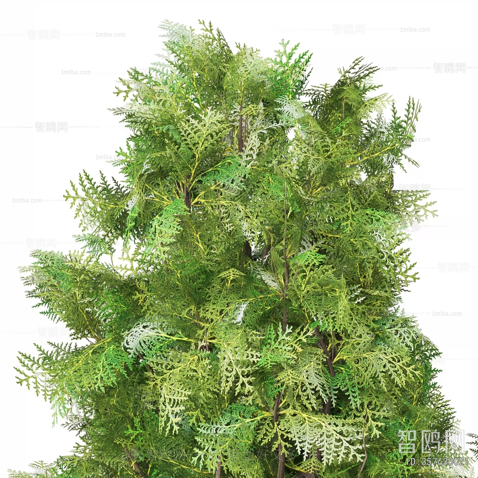 Modern Ground Green Plant Potted Plants