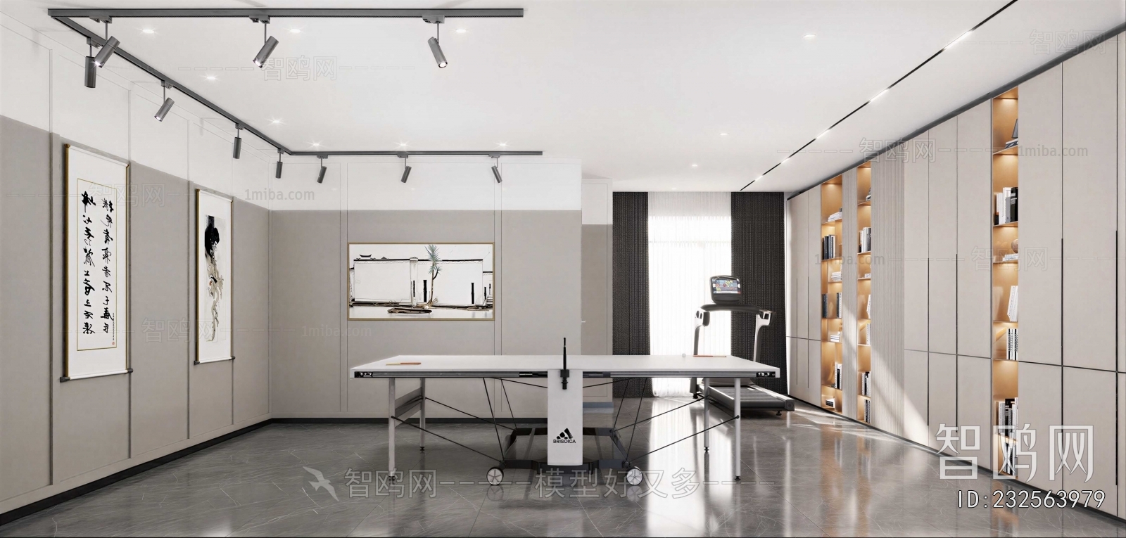 Modern Home Fitness Room