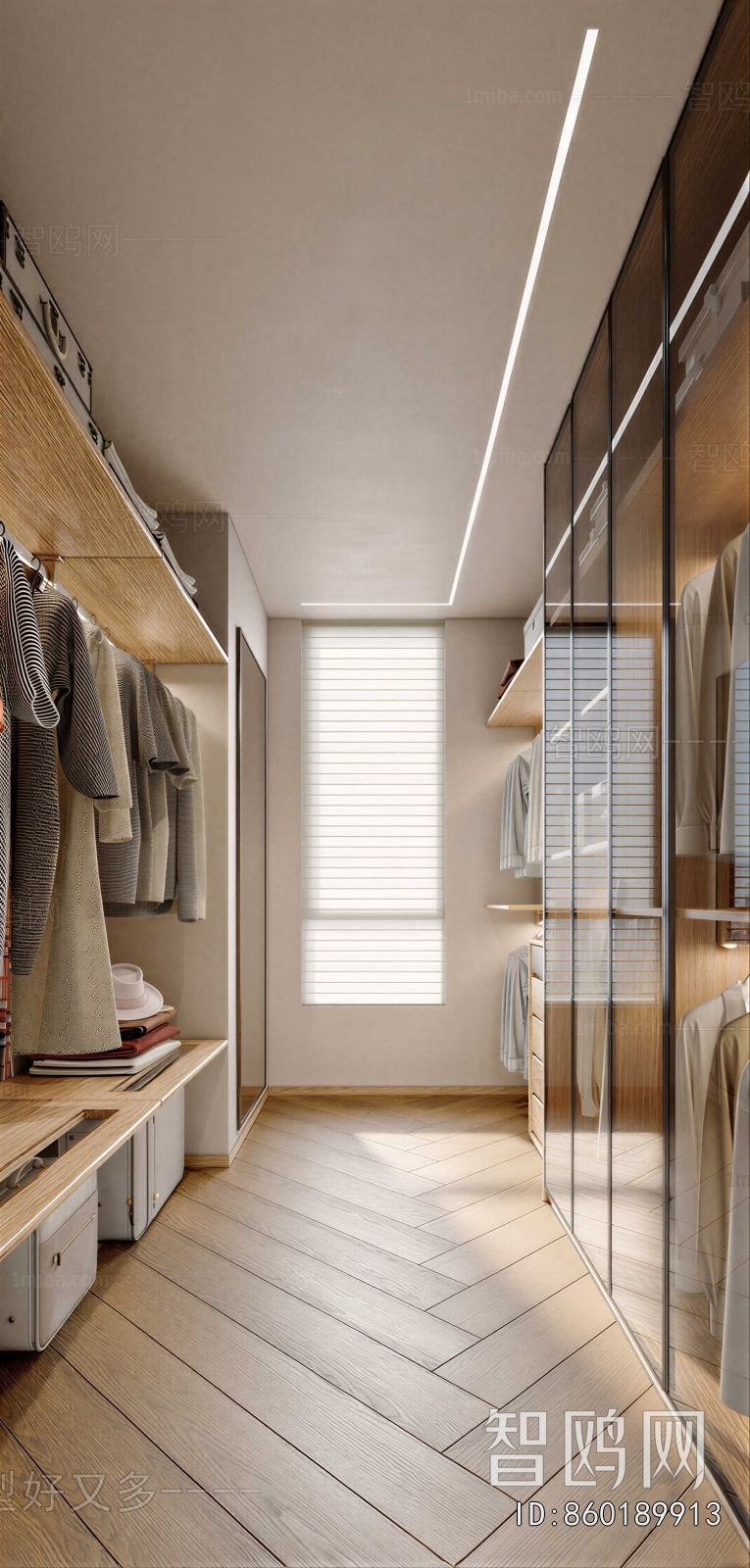 Modern Clothes Storage Area