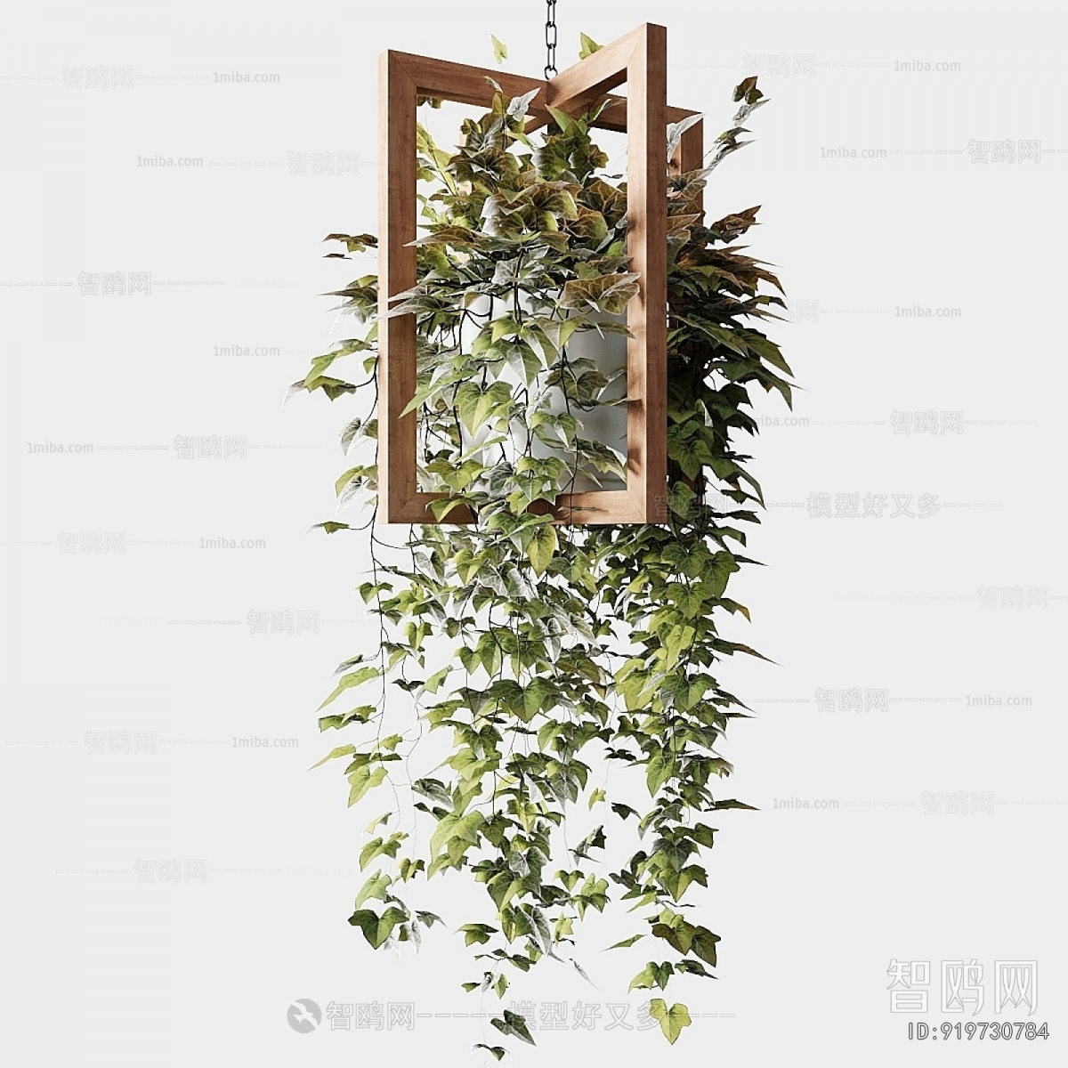 Modern Chlorophytum Comosum