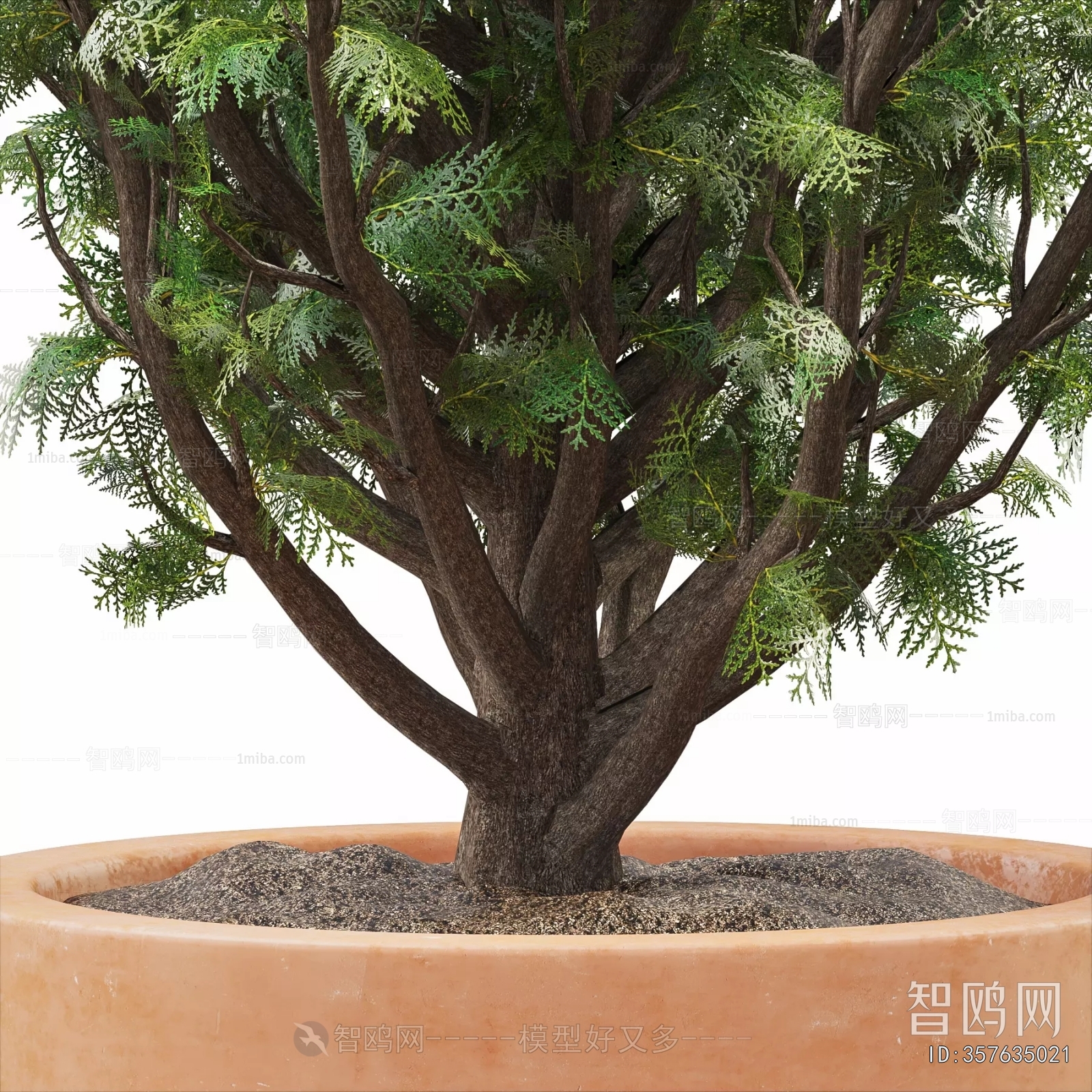 Modern Ground Green Plant Potted Plants