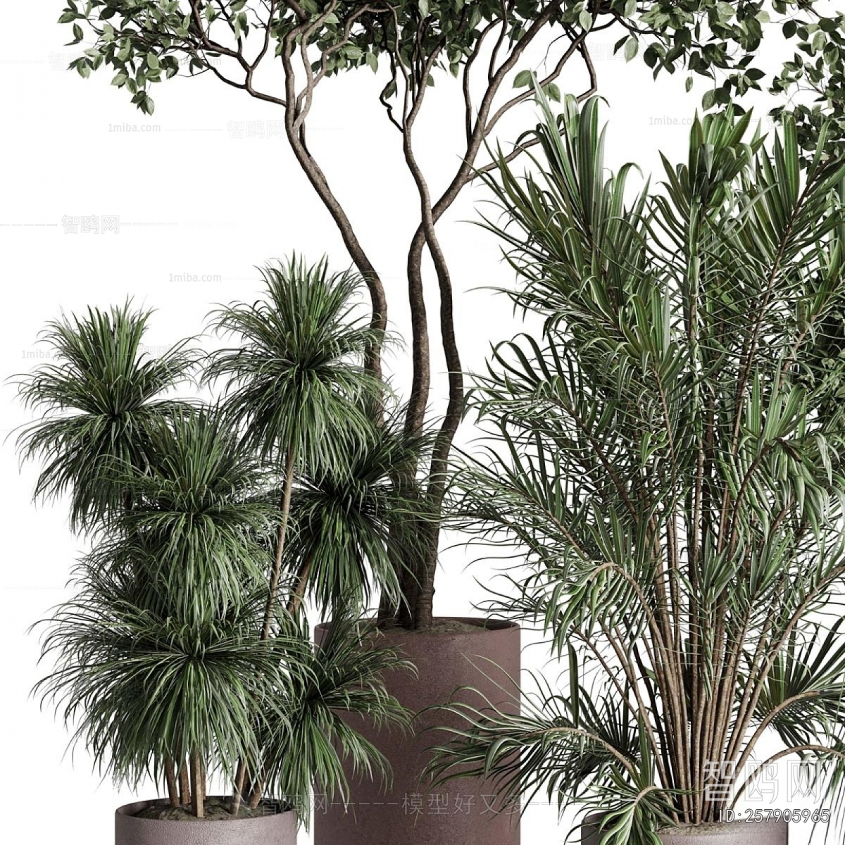 Modern Ground Green Plant Potted Plants