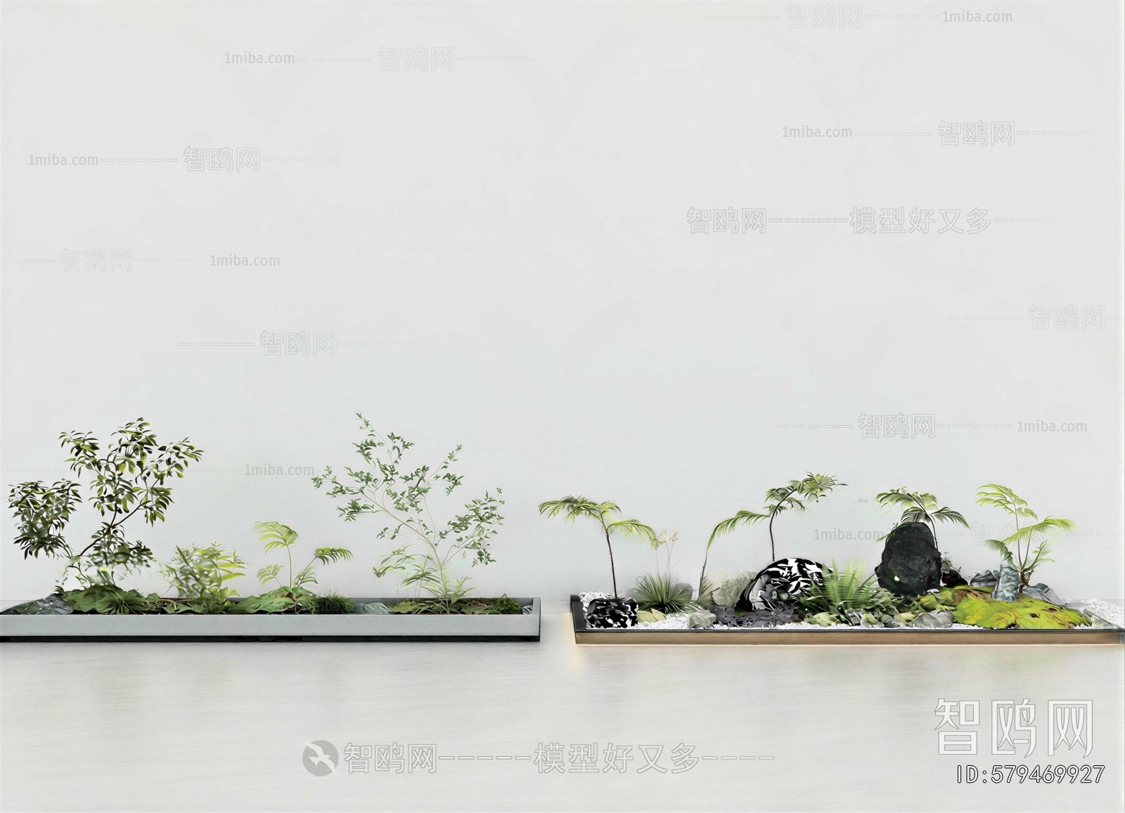 Modern Plant Landscaping