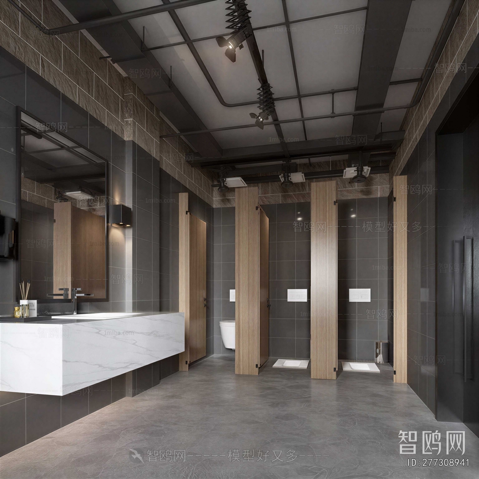 Industrial Style Public Toilet