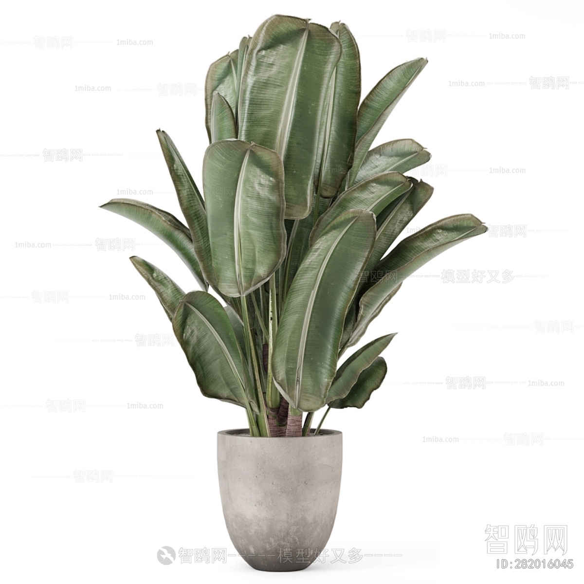 Modern Ground Green Plant Potted Plants