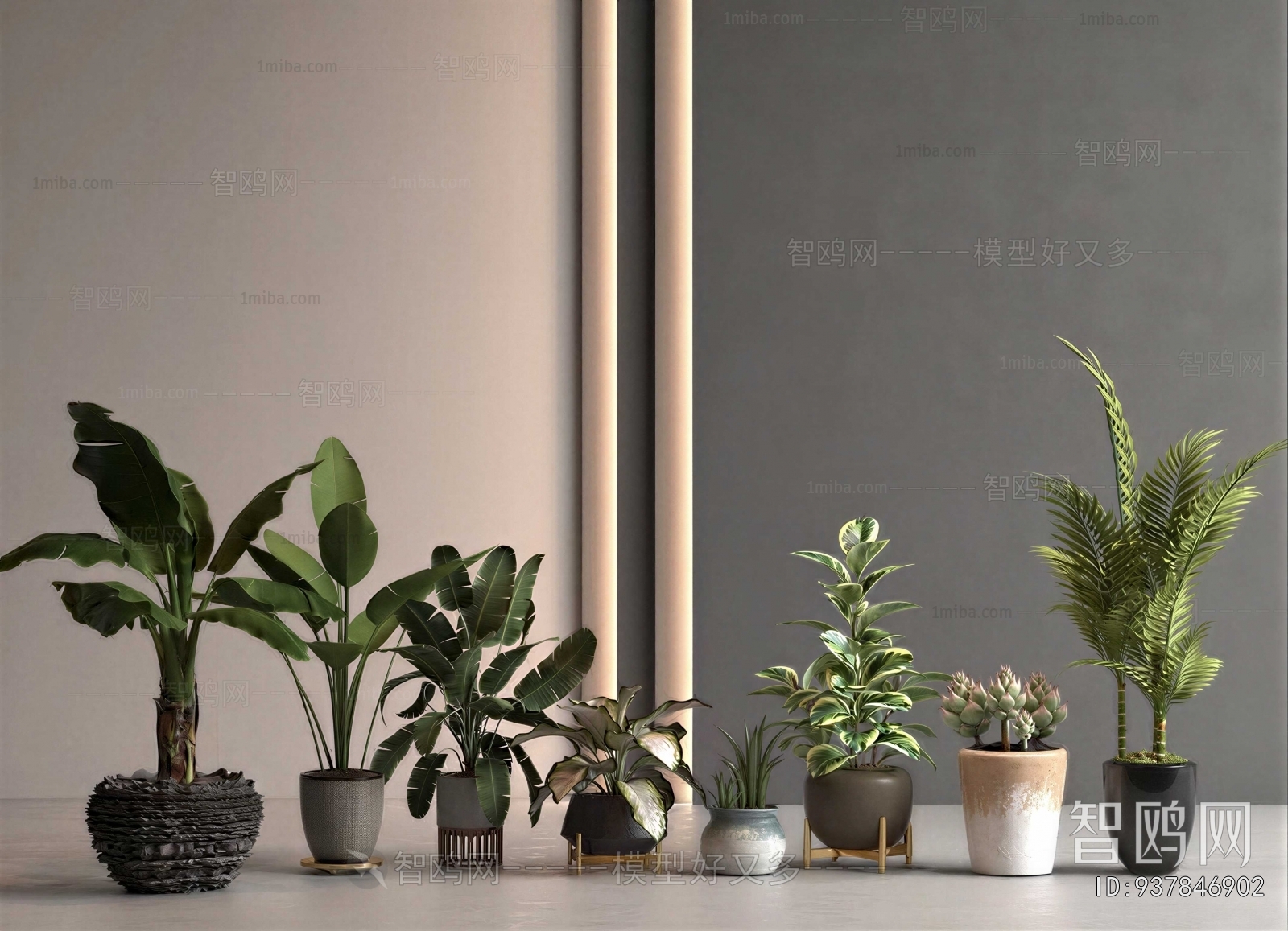 Modern Potted Green Plant