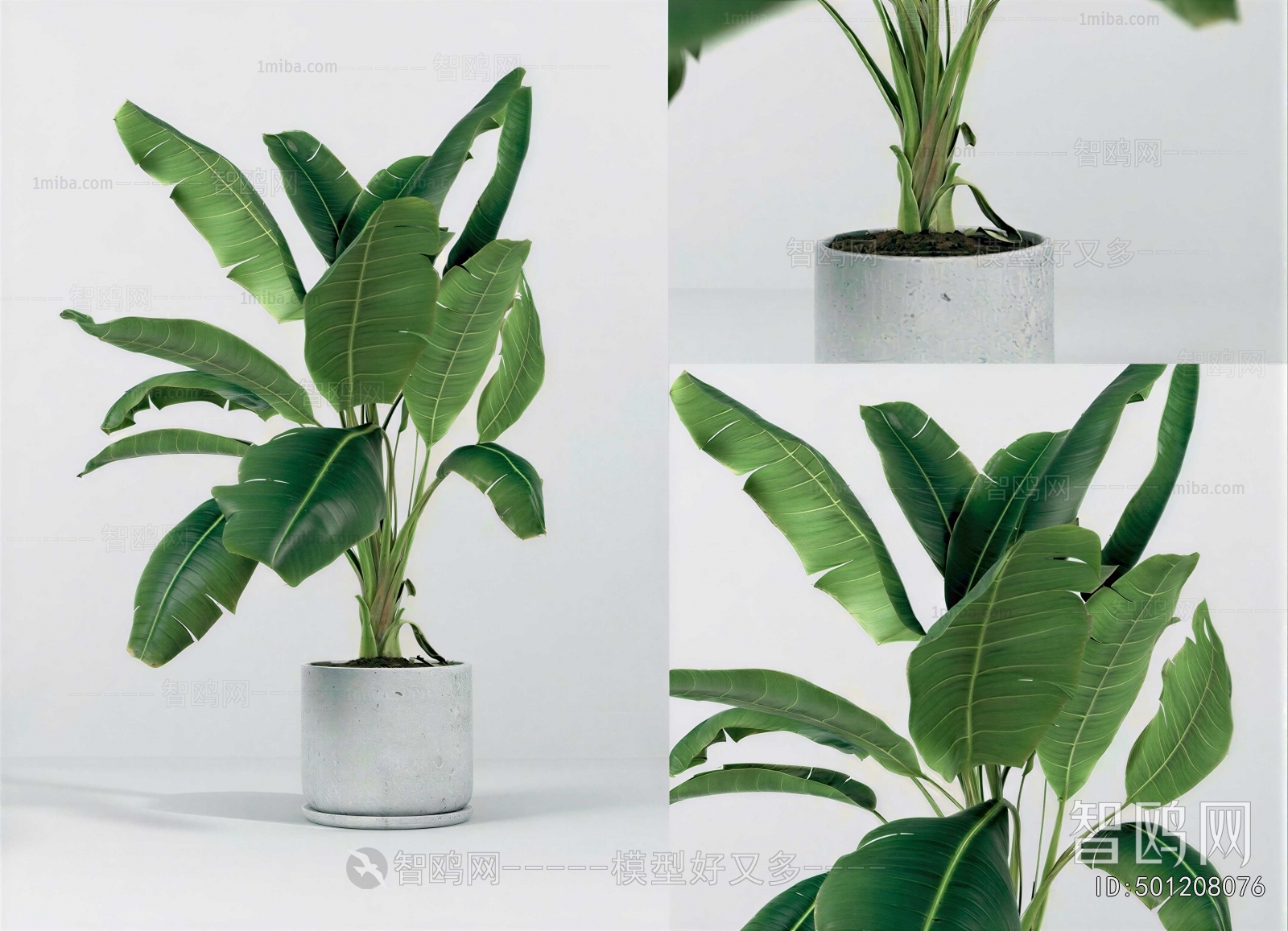 Modern Ground Green Plant Potted Plants