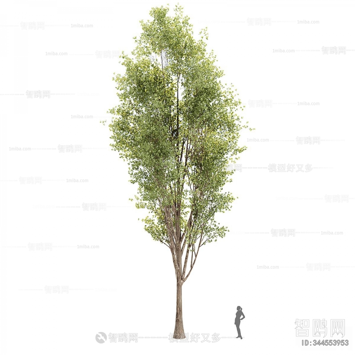 Modern Tree