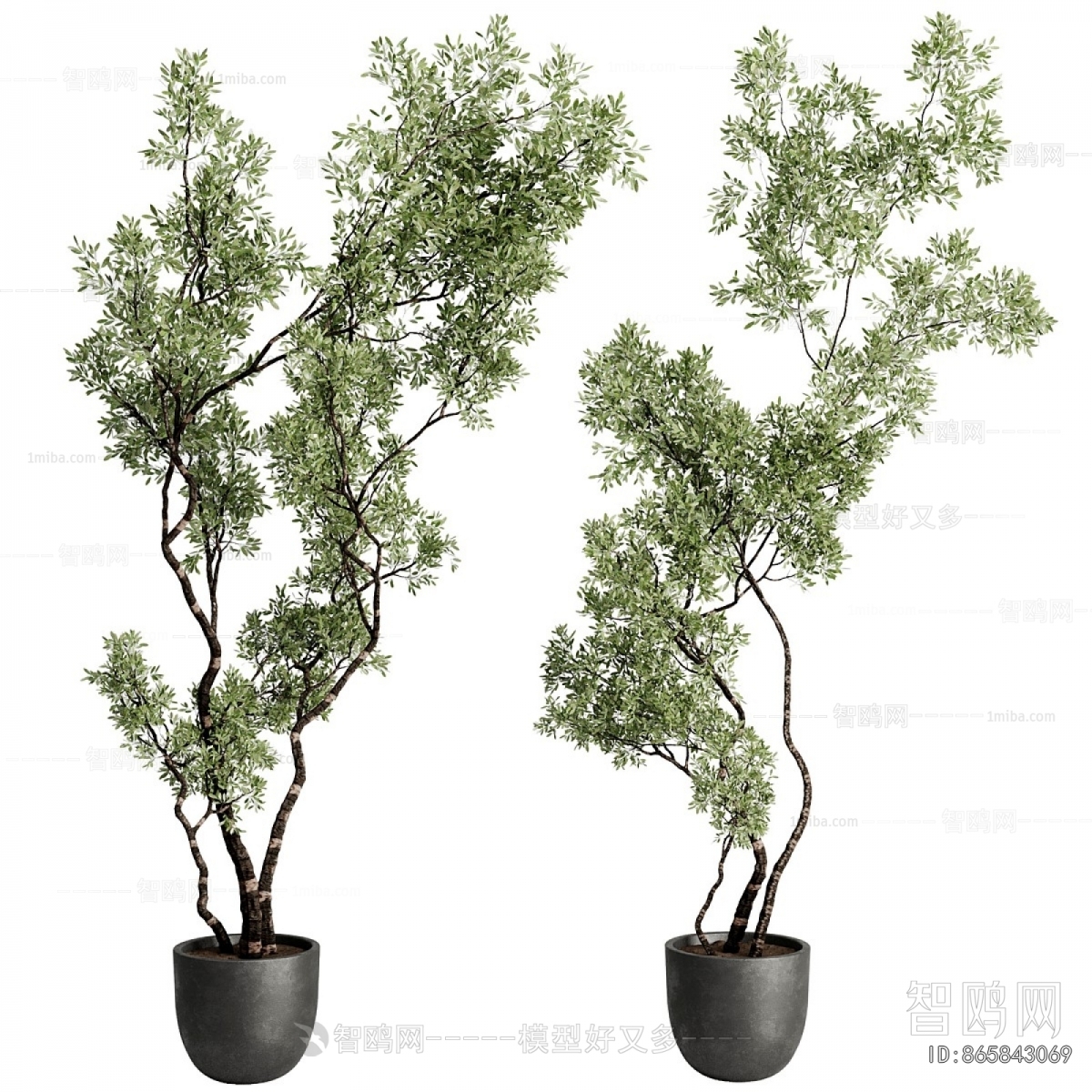 Modern Ground Green Plant Potted Plants