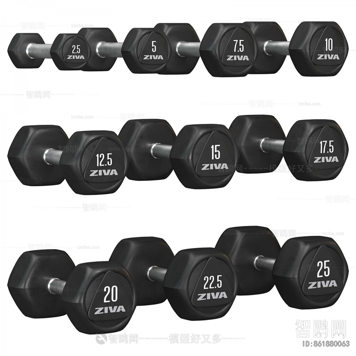 Modern Fitness Equipment