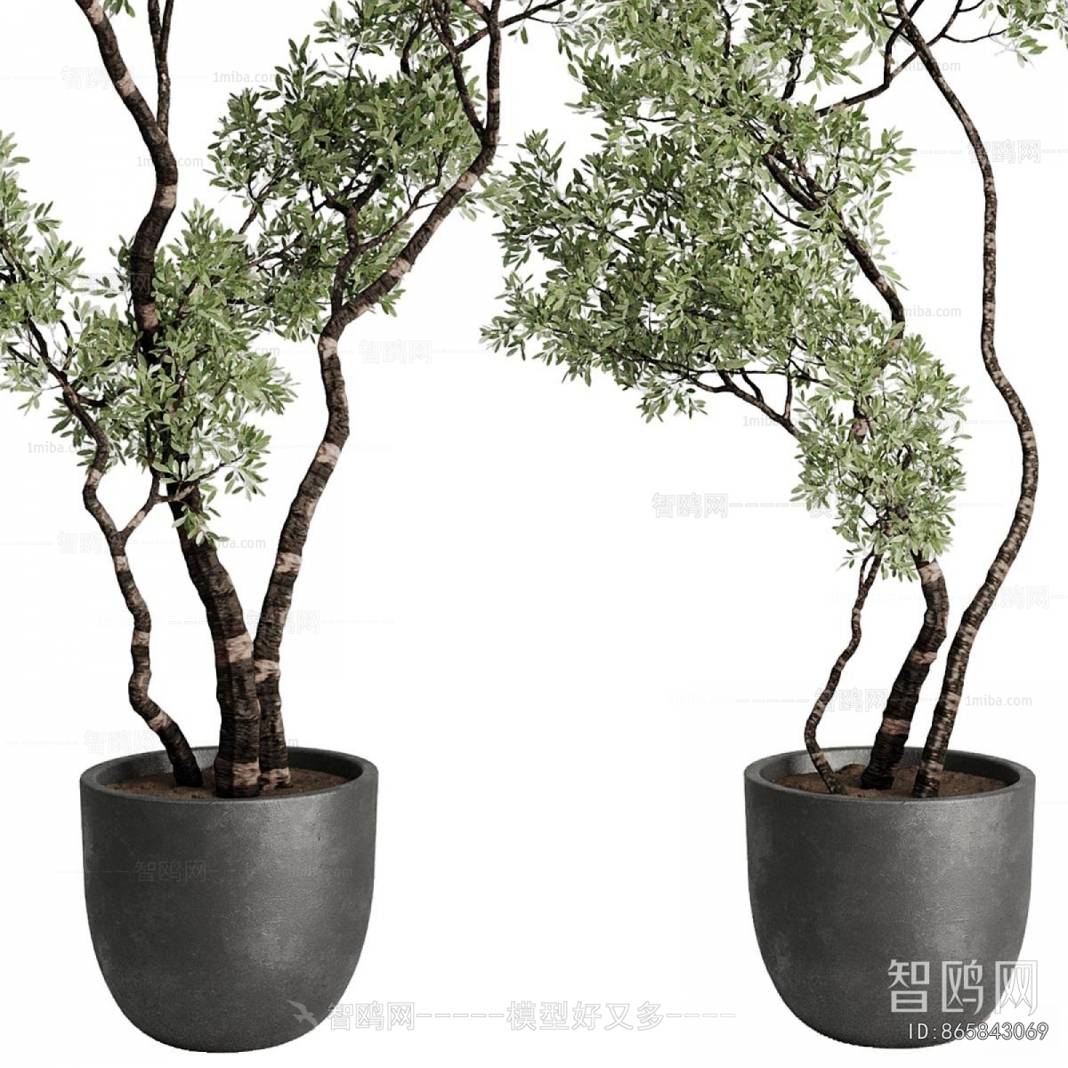 Modern Ground Green Plant Potted Plants