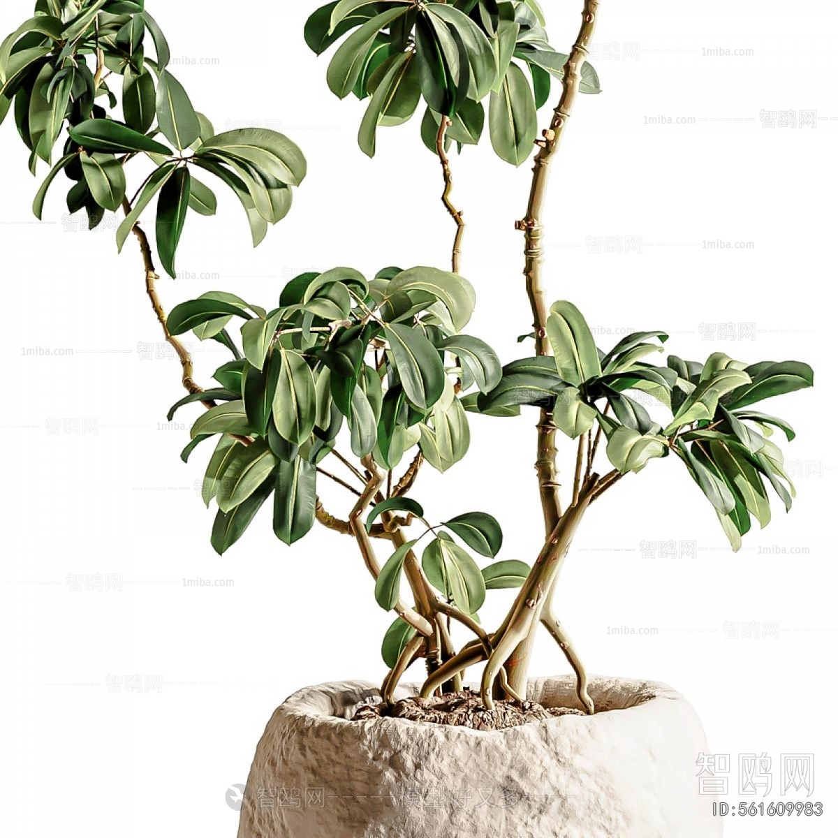 Modern Ground Green Plant Potted Plants