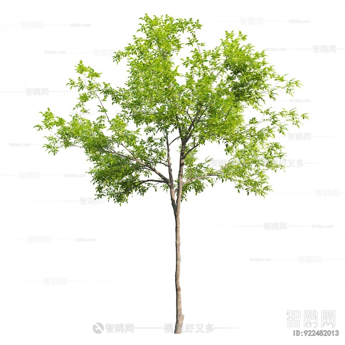Modern Tree