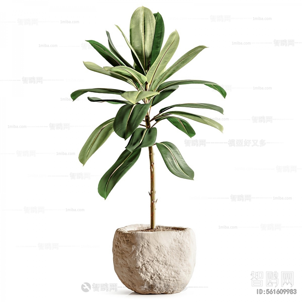 Modern Ground Green Plant Potted Plants