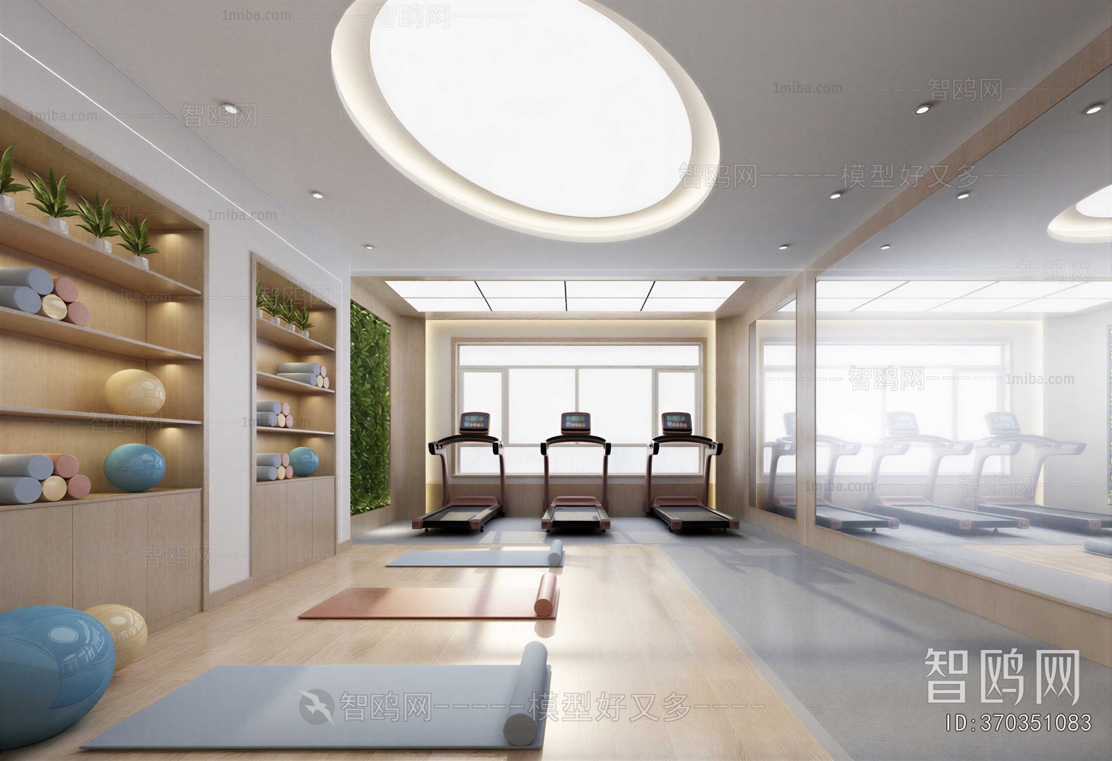 Modern Home Fitness Room
