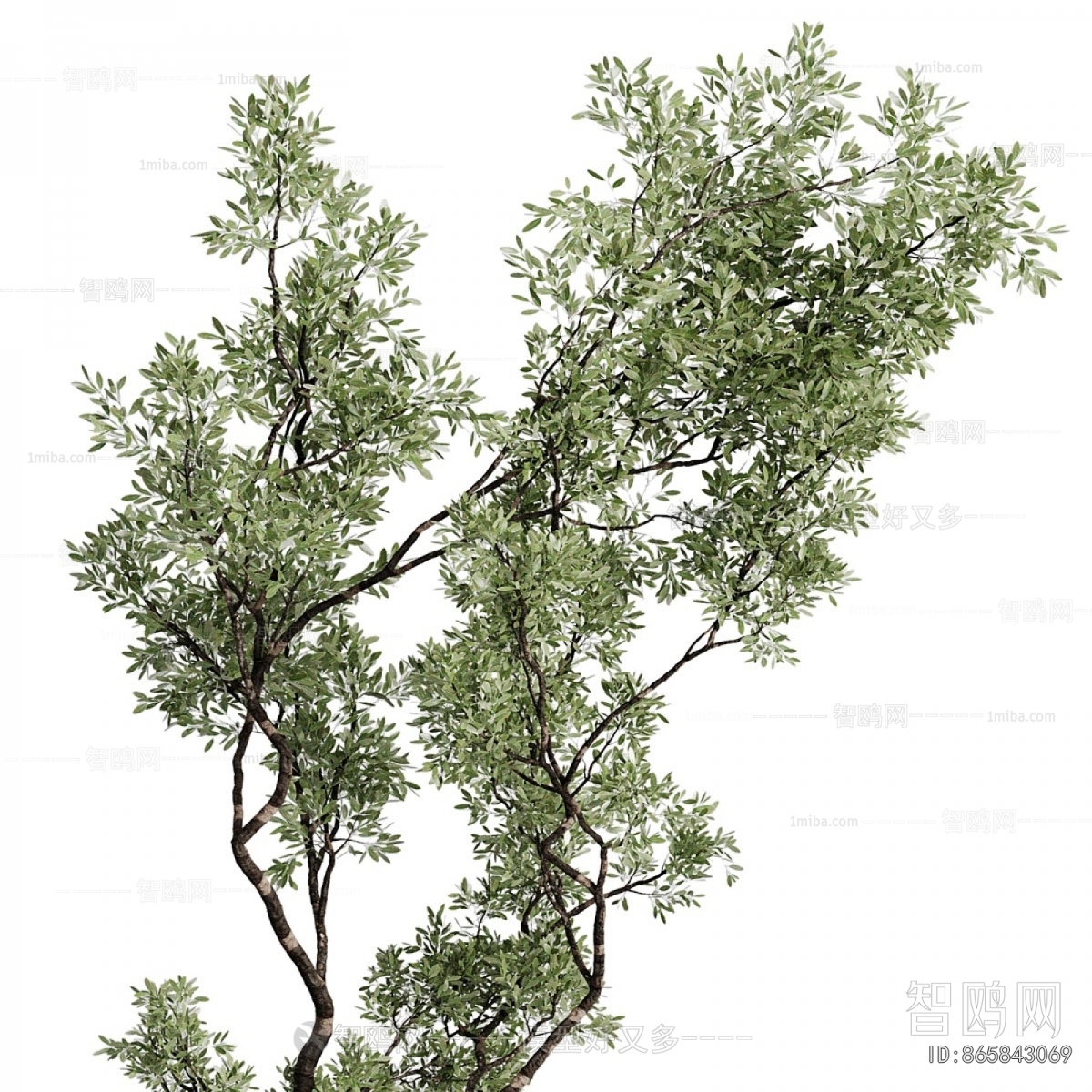 Modern Ground Green Plant Potted Plants