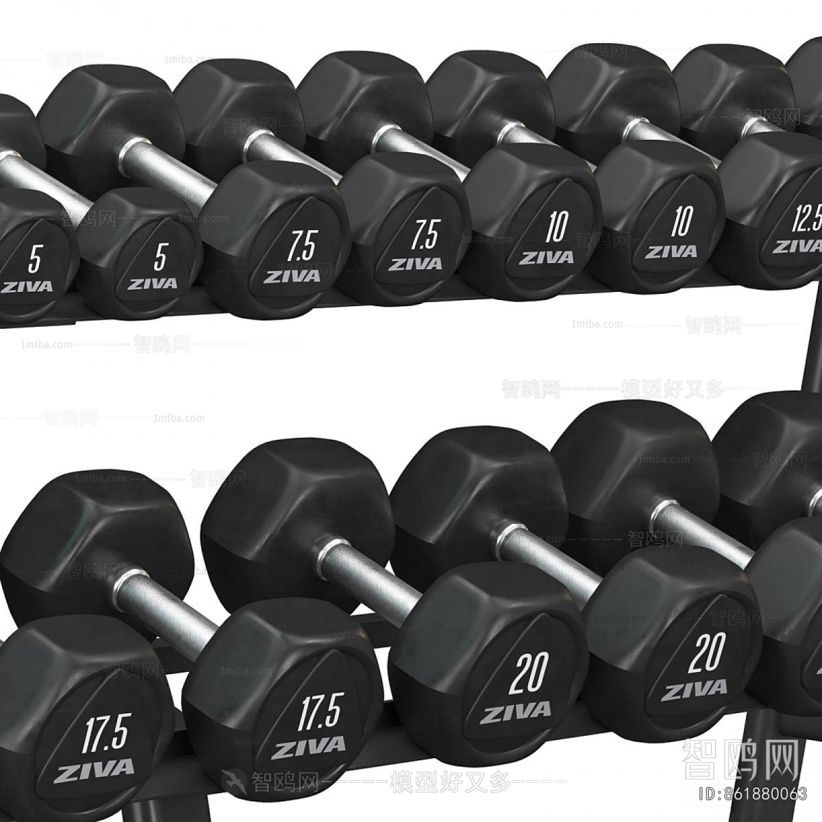 Modern Fitness Equipment