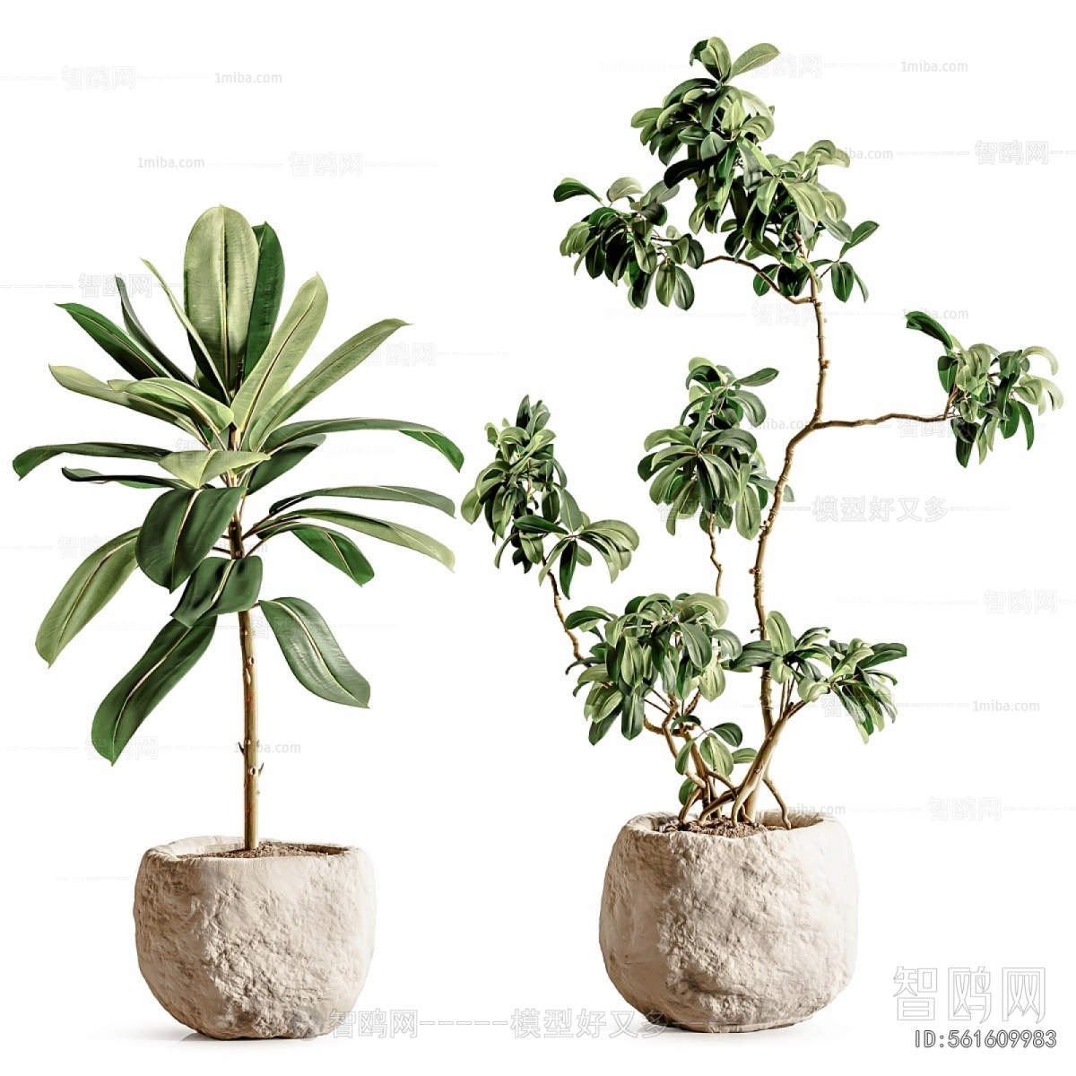 Modern Ground Green Plant Potted Plants