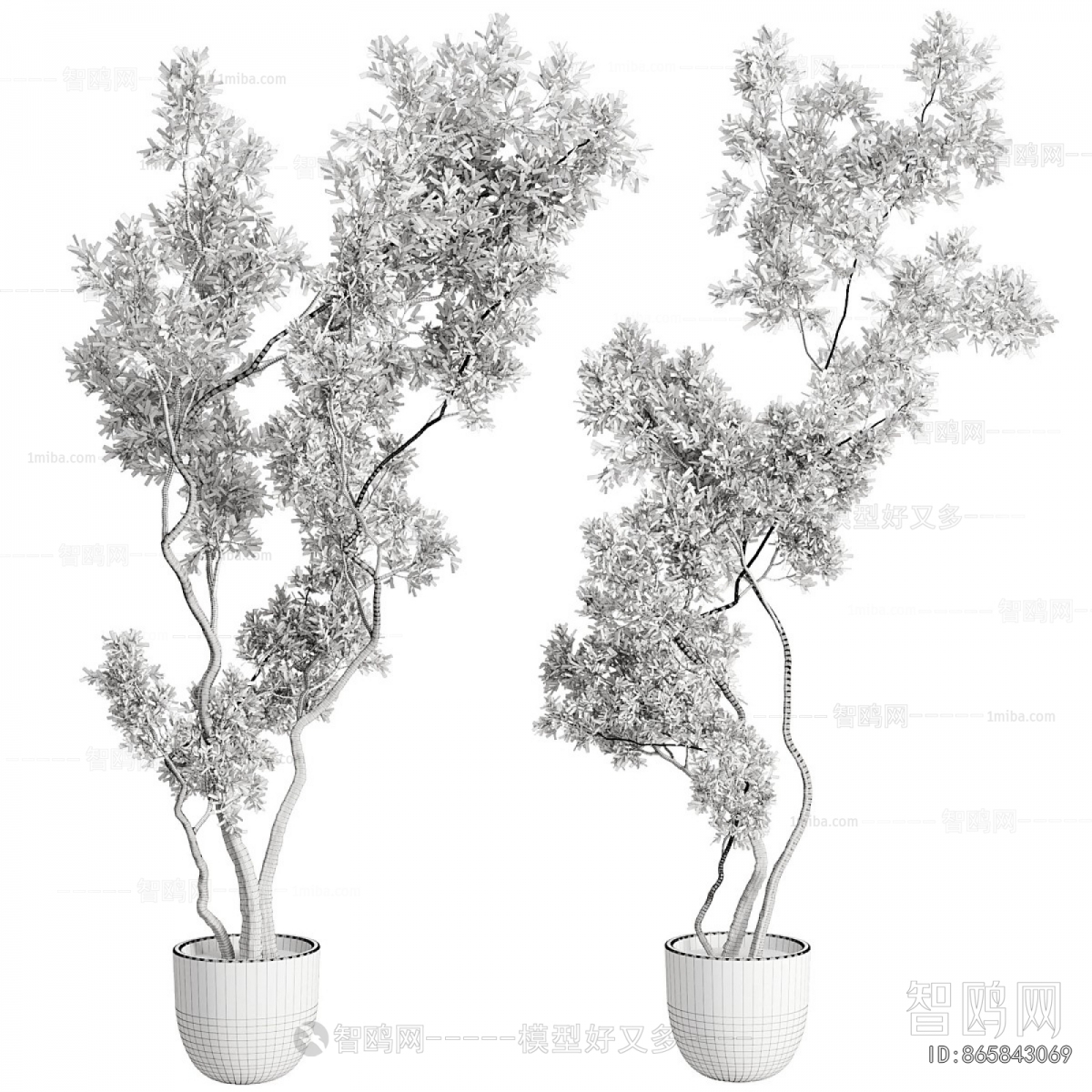 Modern Ground Green Plant Potted Plants