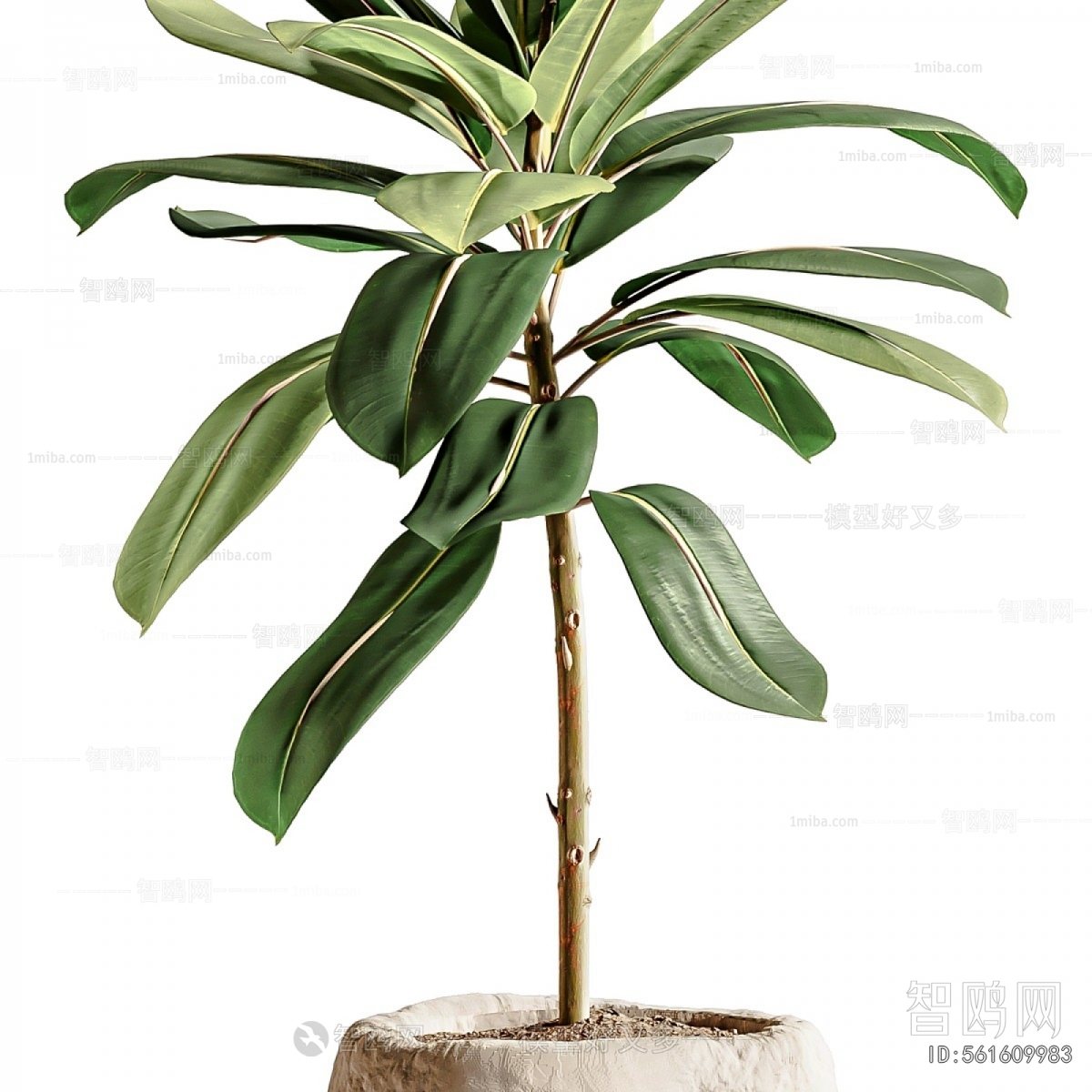 Modern Ground Green Plant Potted Plants
