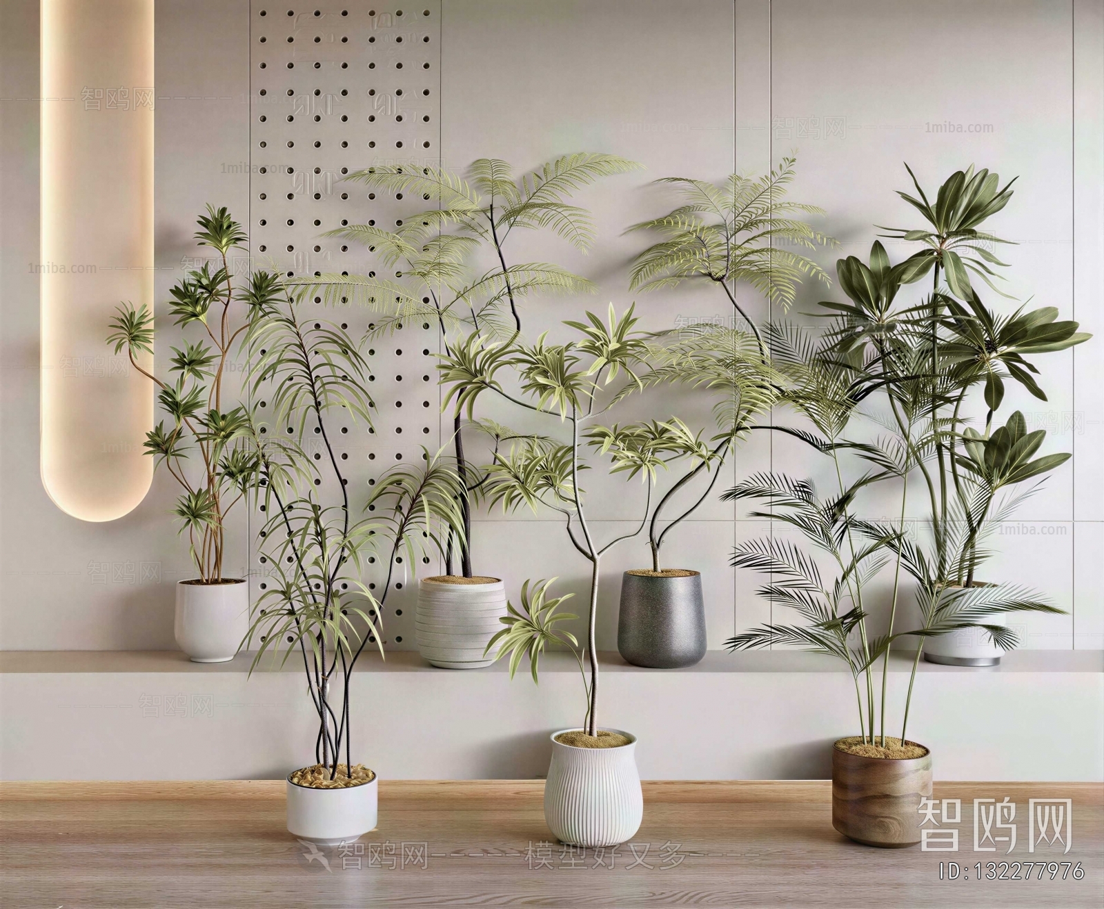 Modern Ground Green Plant Potted Plants