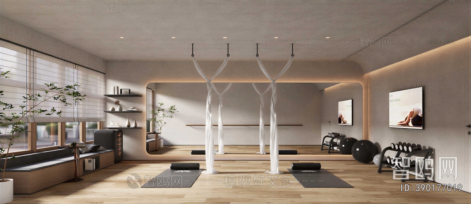 Modern Yoga Room