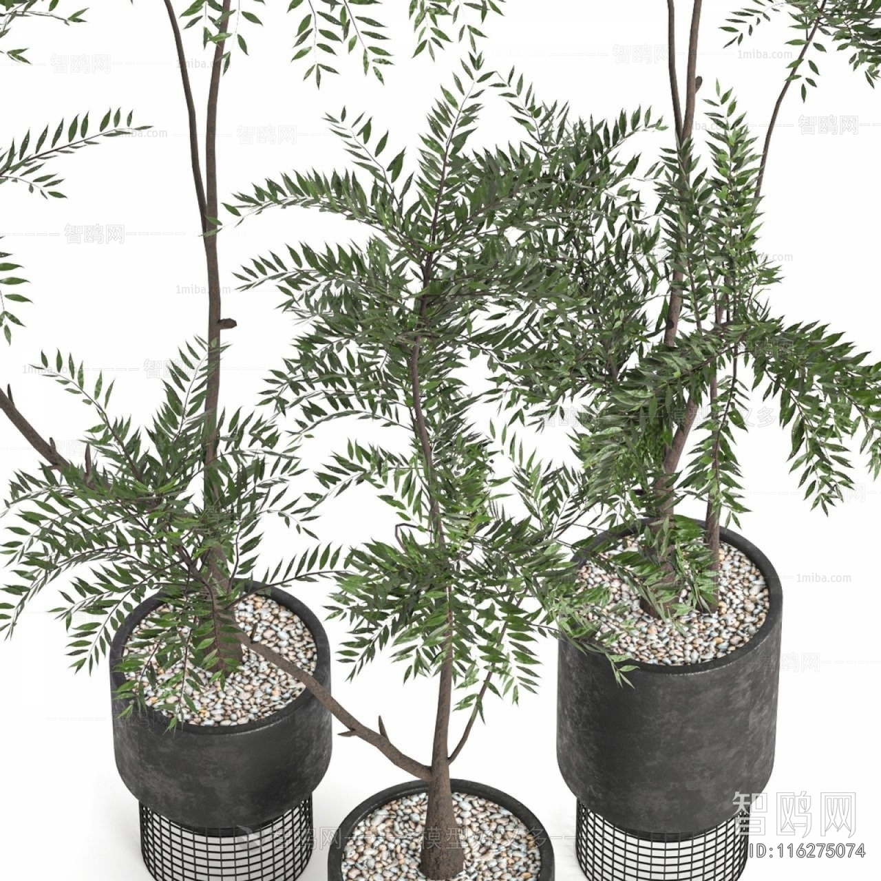 Modern Ground Green Plant Potted Plants