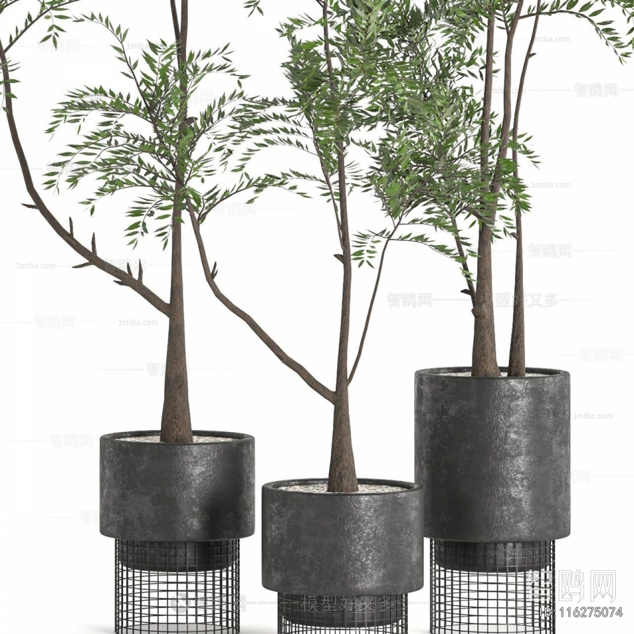 Modern Ground Green Plant Potted Plants
