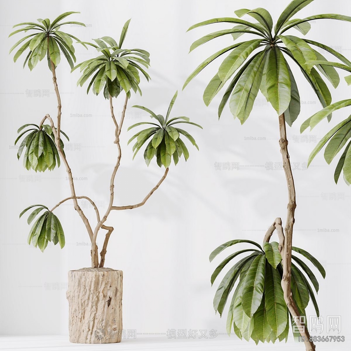 Modern Ground Green Plant Potted Plants