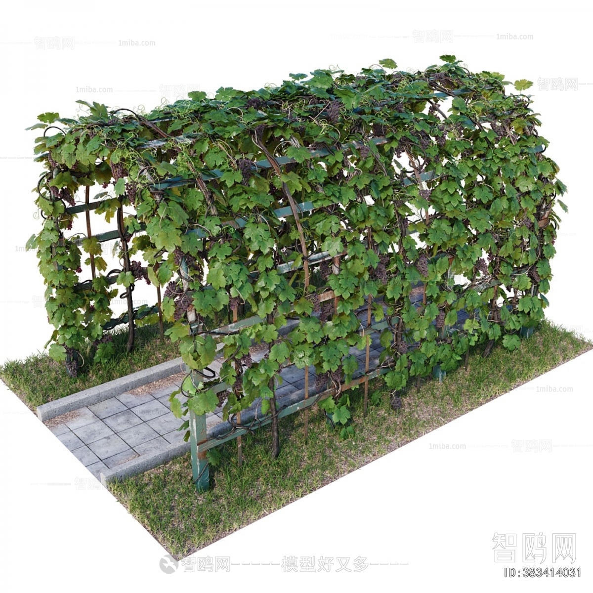 Modern Gallery Frame