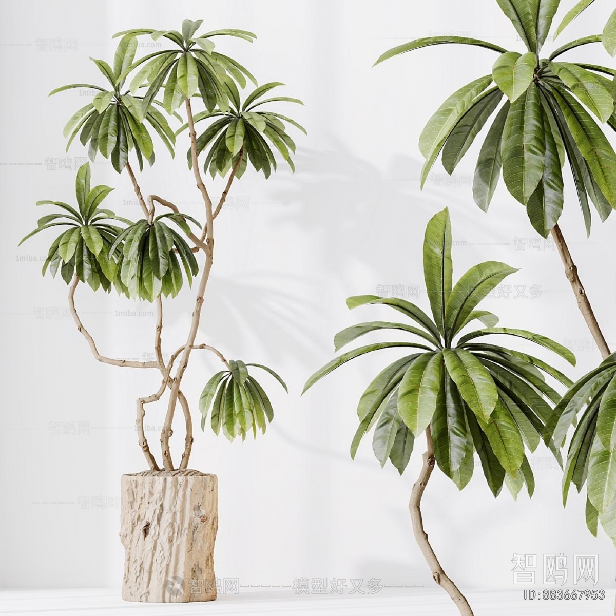 Modern Ground Green Plant Potted Plants