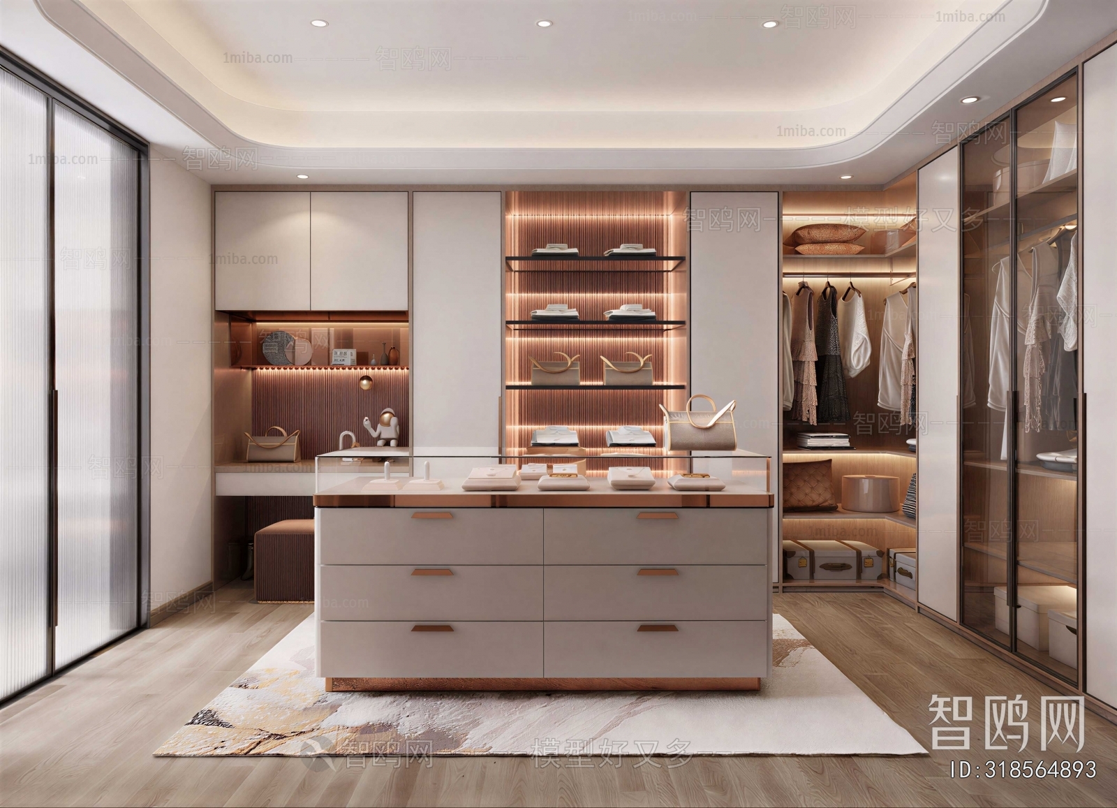 Modern Clothes Storage Area