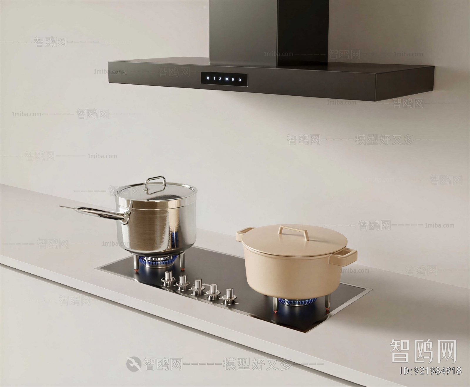 Modern Kitchen Electric Gas Range