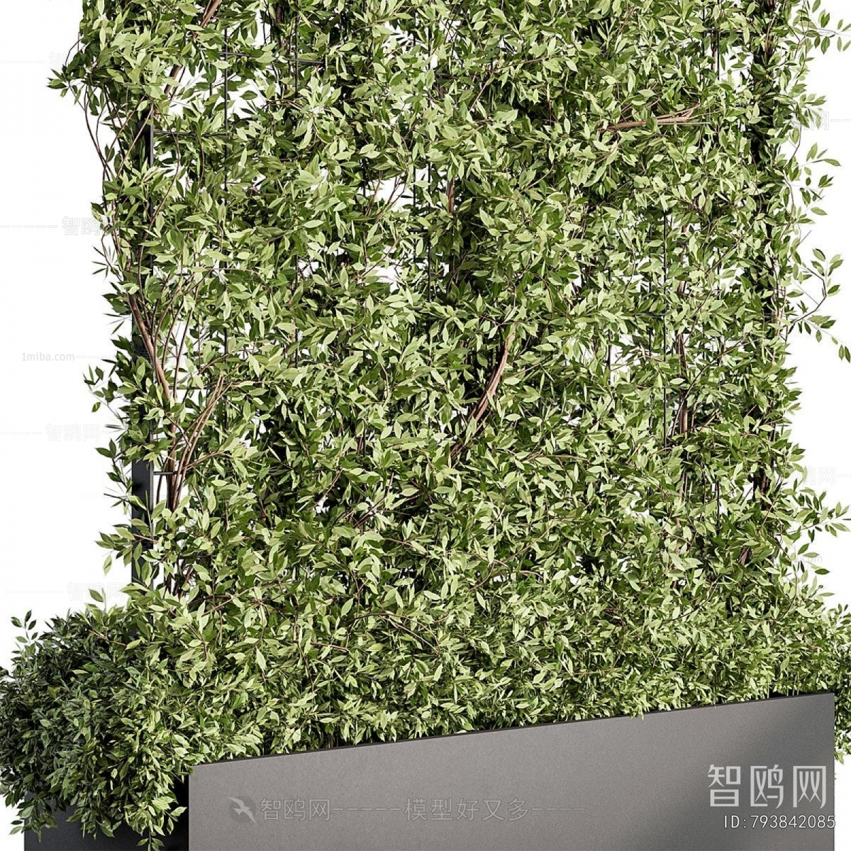 Modern Plant Wall