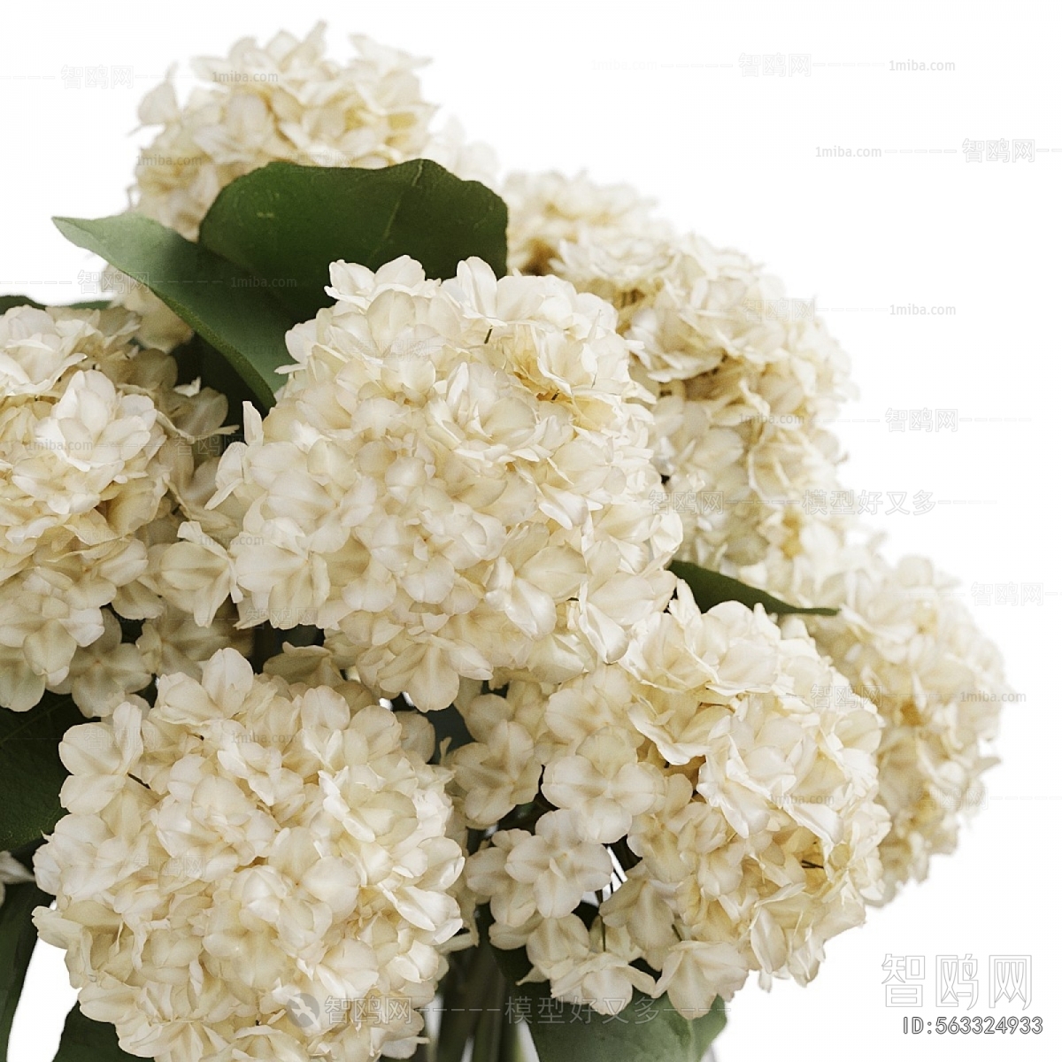 Modern Flower Arrangement