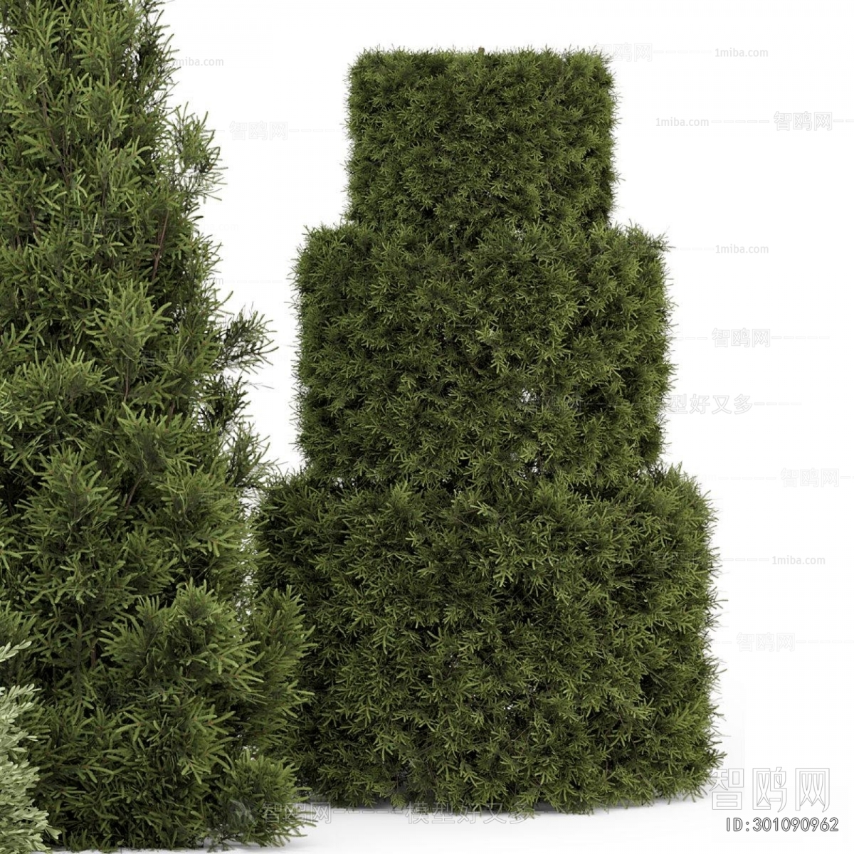 Modern Shrubbery