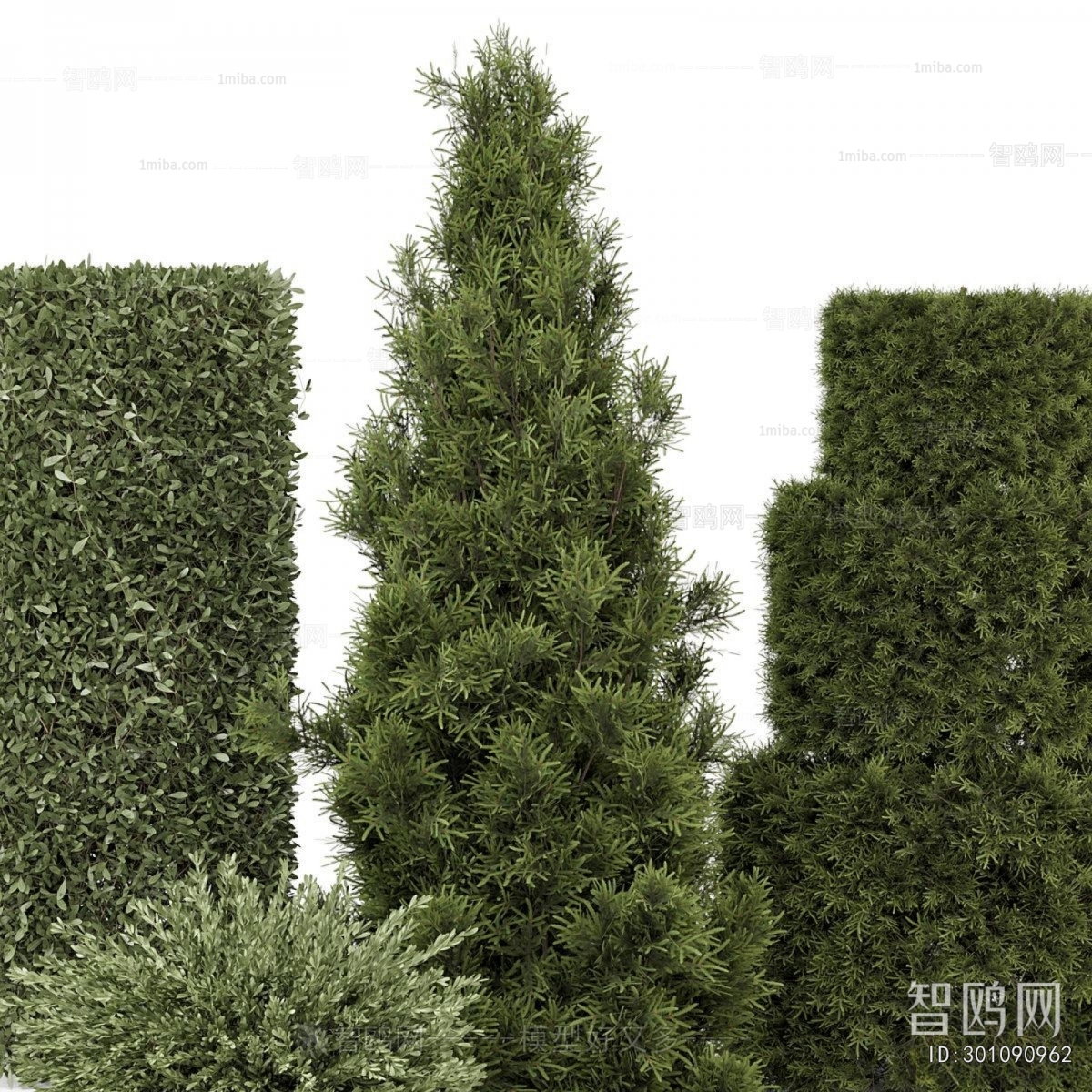 Modern Shrubbery