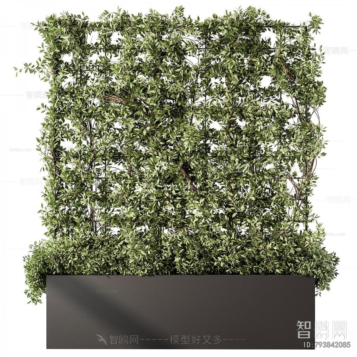 Modern Plant Wall