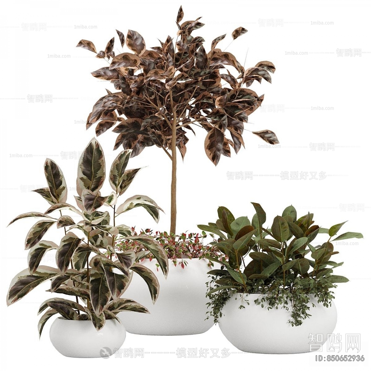 Modern Potted Green Plant