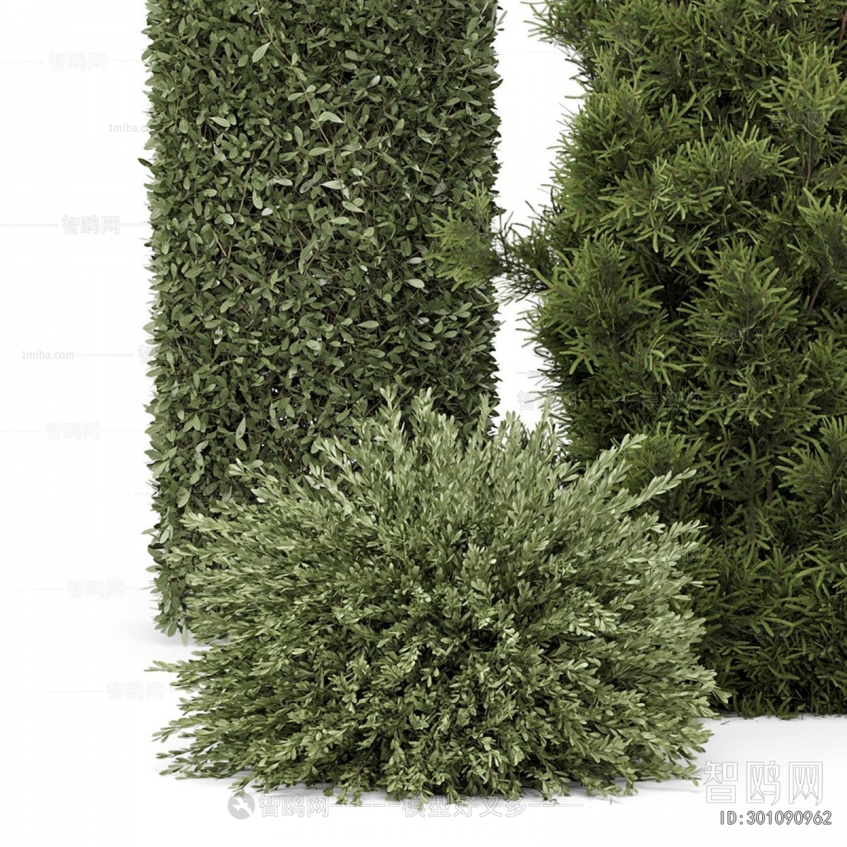 Modern Shrubbery