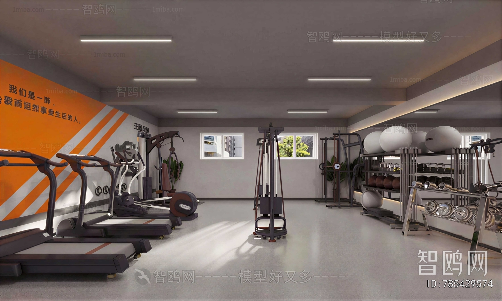 Modern Home Fitness Room
