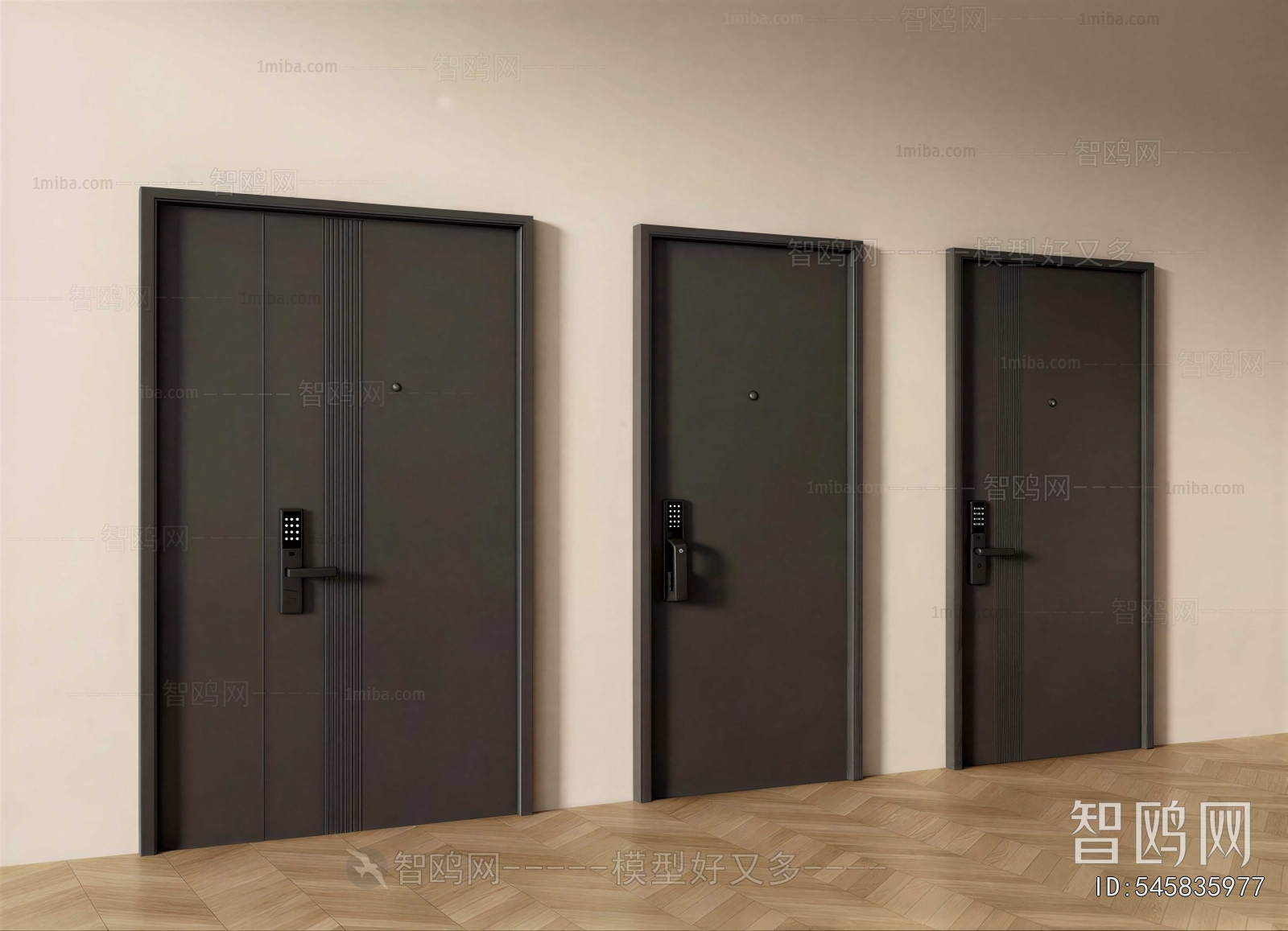 Modern Entrance Door