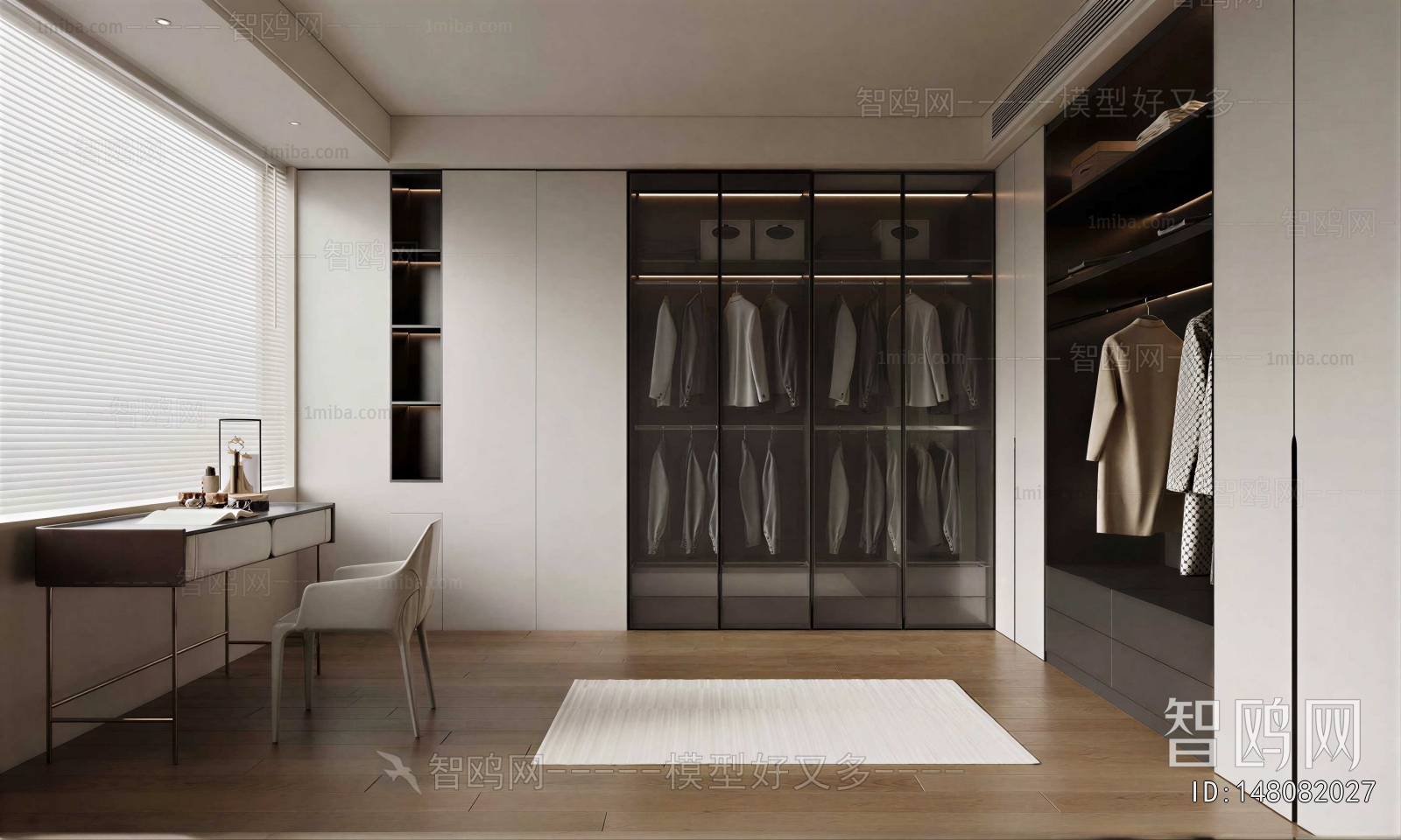 Modern Clothes Storage Area