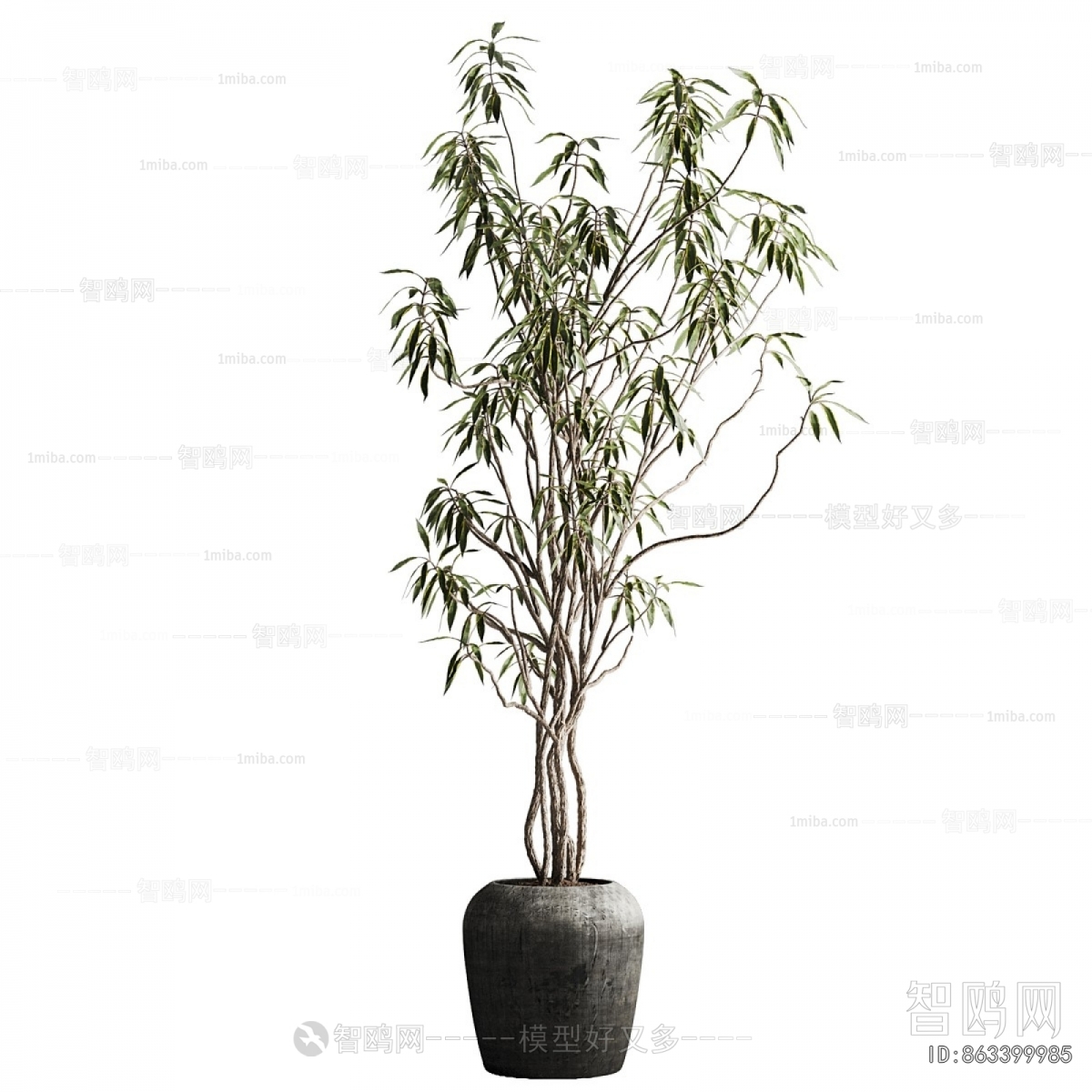 Modern Ground Green Plant Potted Plants