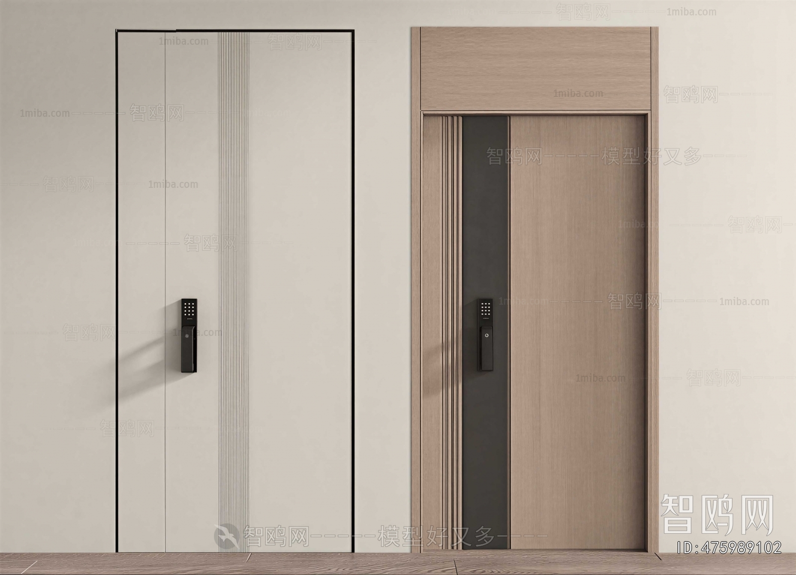 Modern Entrance Door