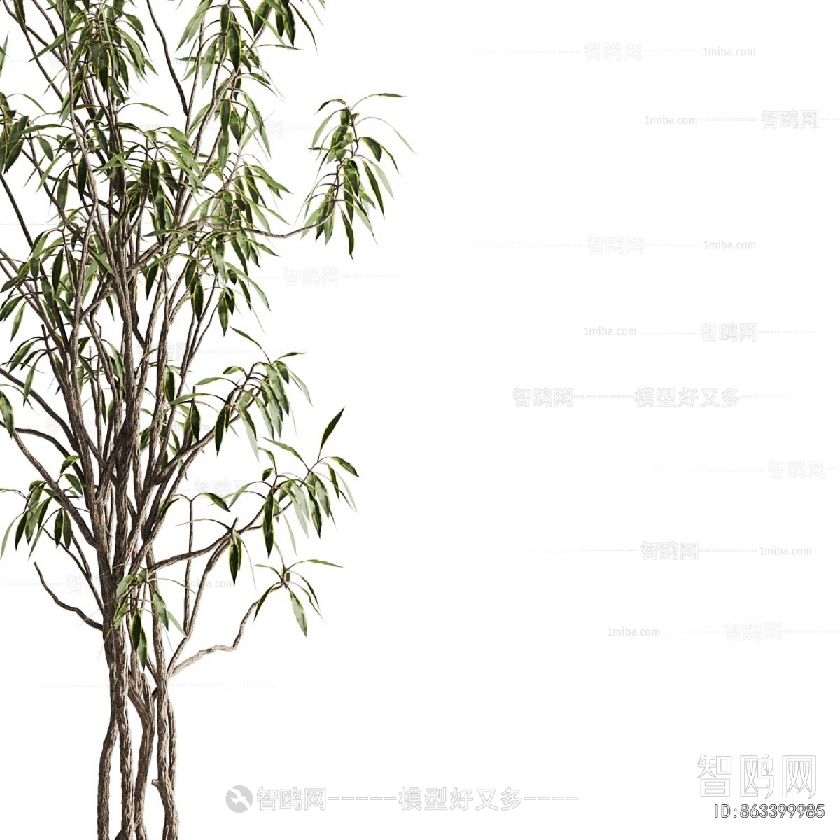 Modern Ground Green Plant Potted Plants