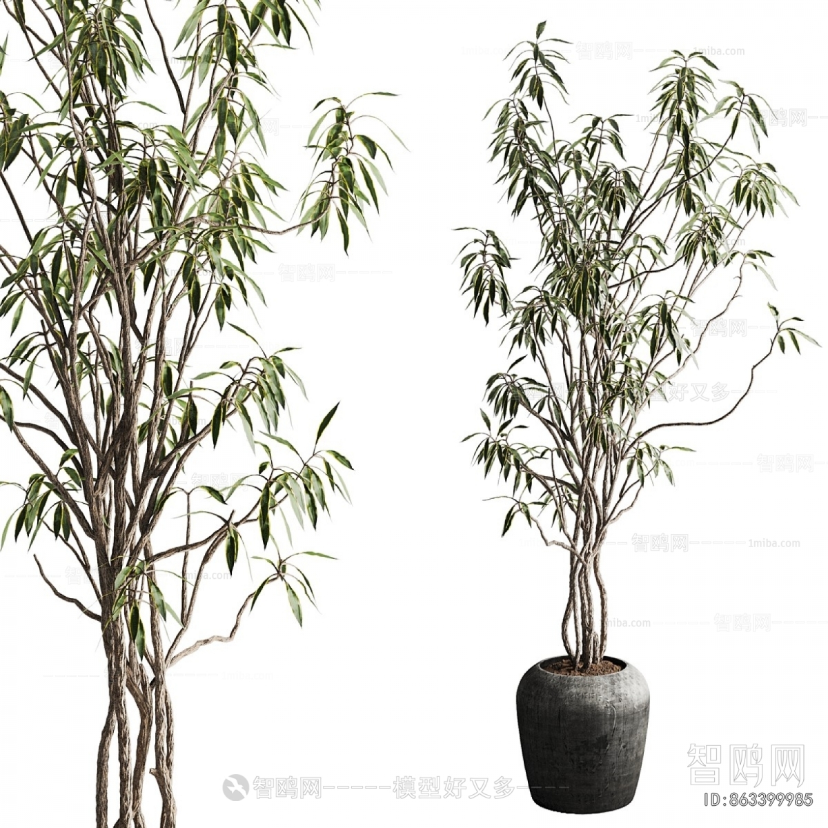 Modern Ground Green Plant Potted Plants