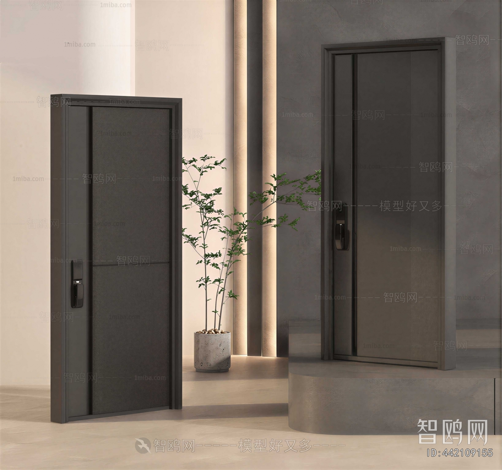Modern Entrance Door
