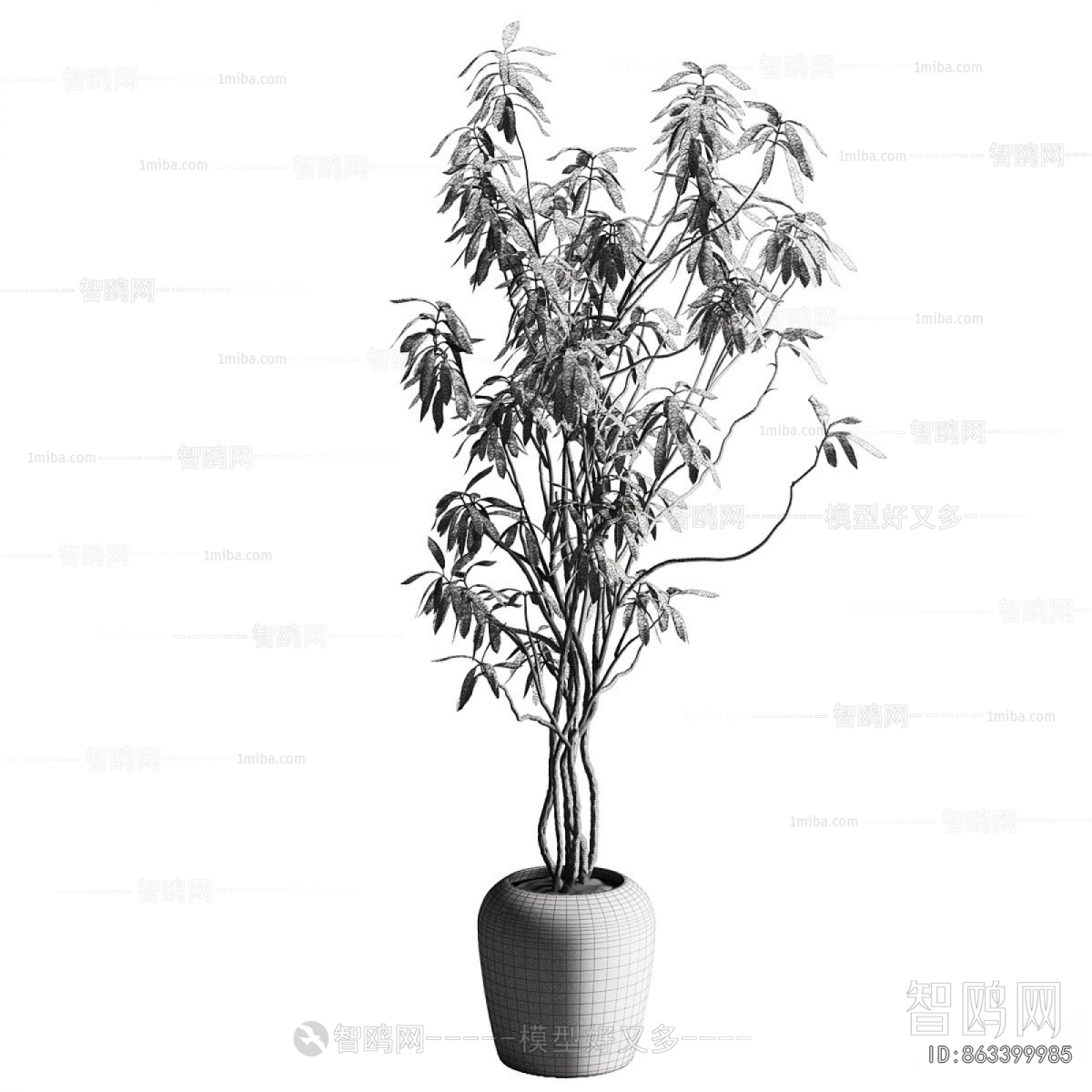 Modern Ground Green Plant Potted Plants